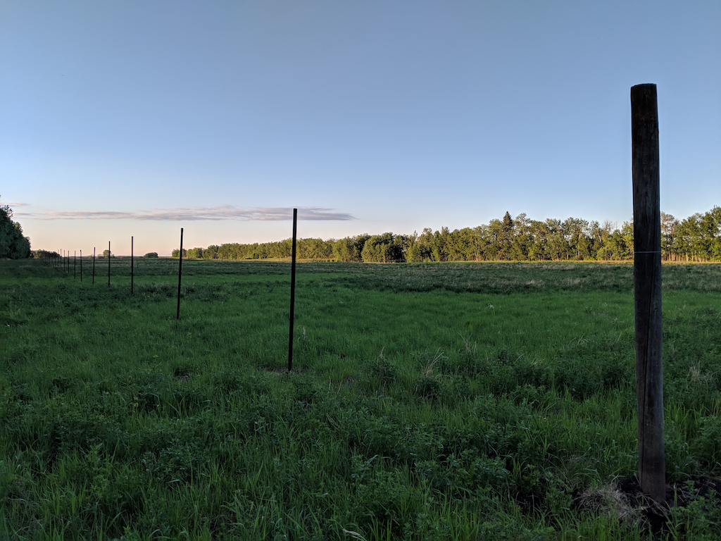 fence.jpg