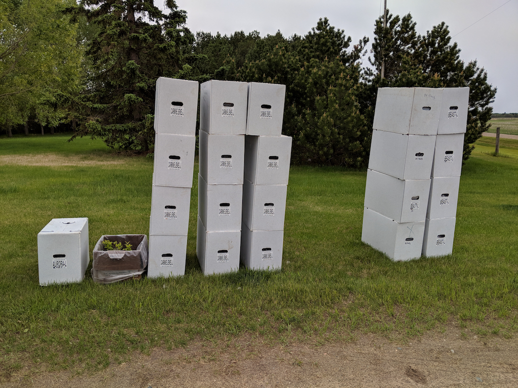 boxes.jpg