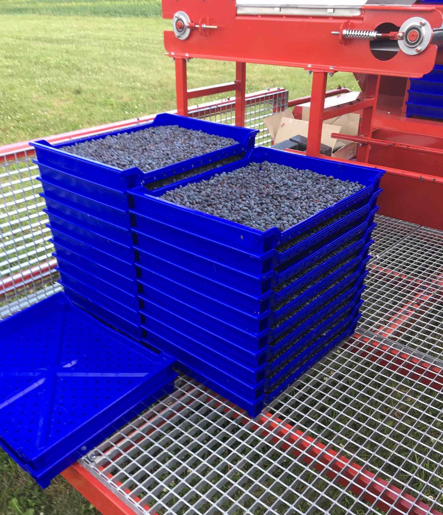 Berries+on+harvester.jpg