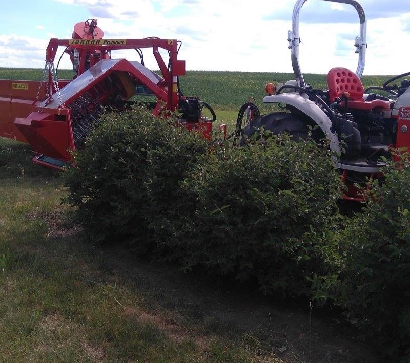 harvester+at+work.jpg