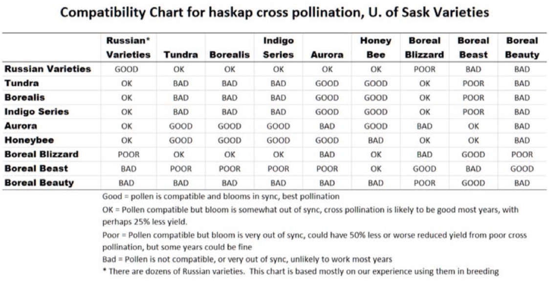 Screen+Shot+2019-04-16+at+6.32.52+PM.jpg