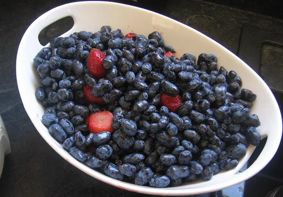 bowl of haskap.jpg