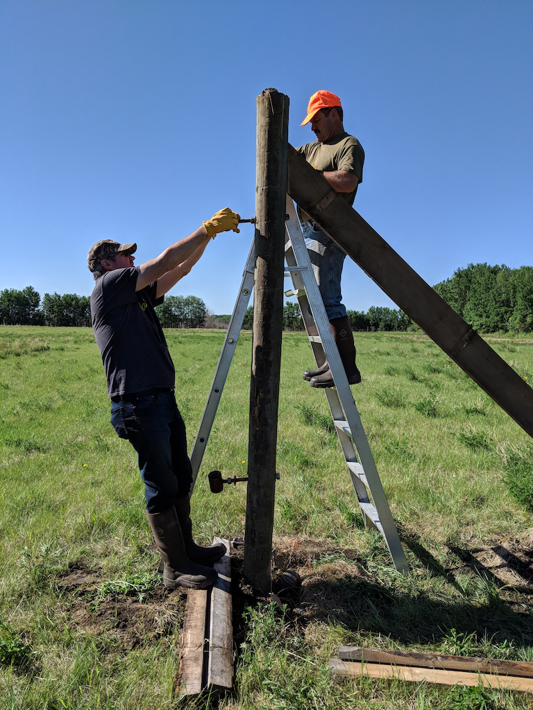 Collin Peter fence.jpg