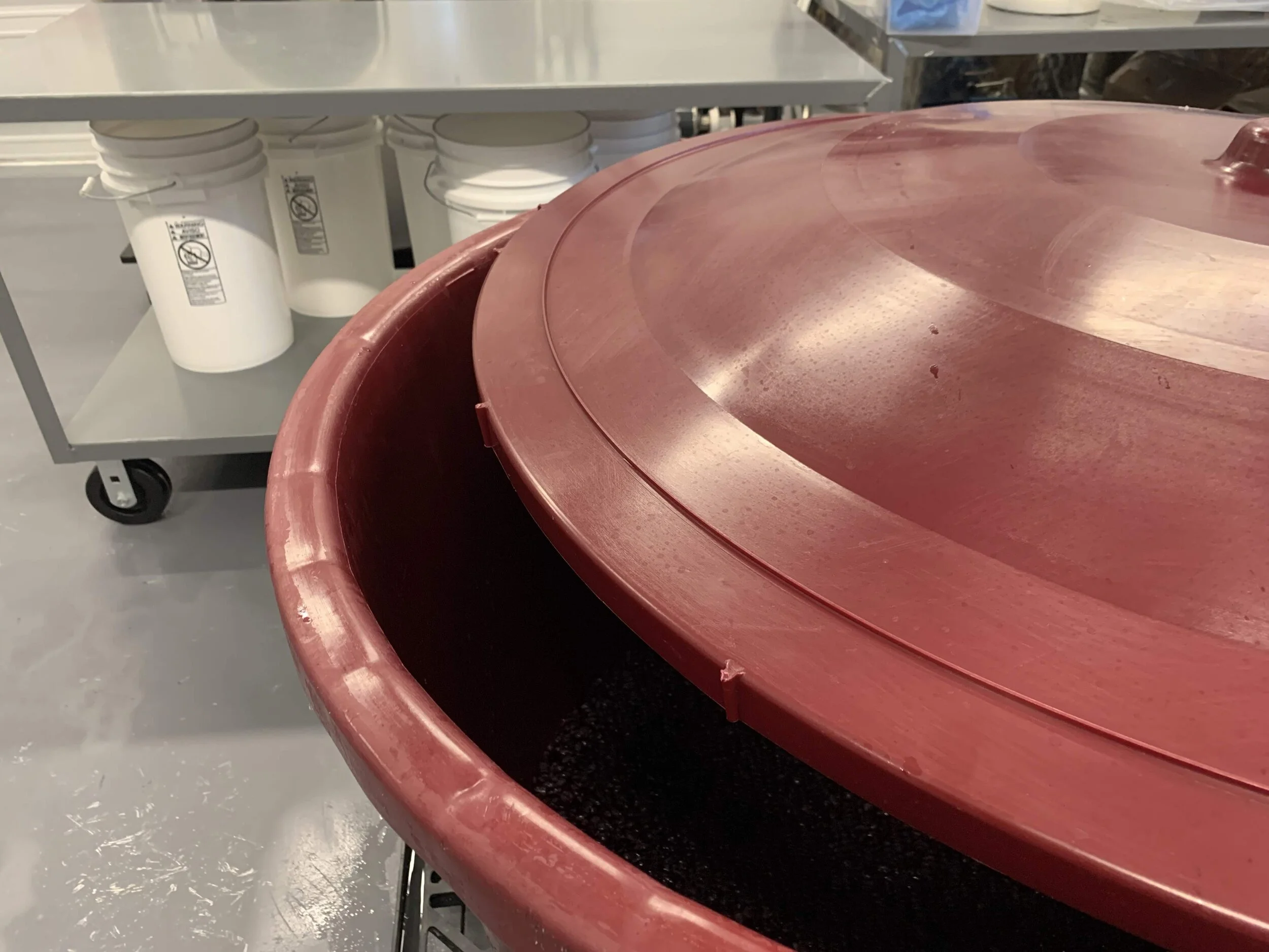 Testing the Winemaking Process