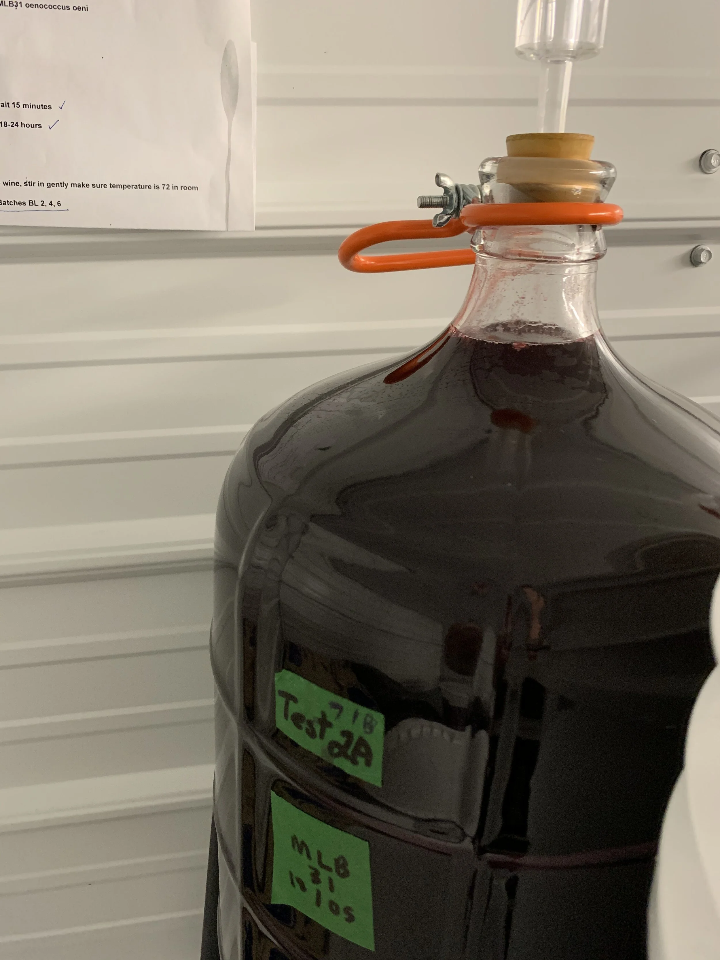 Acid Balance: Focus on MLF