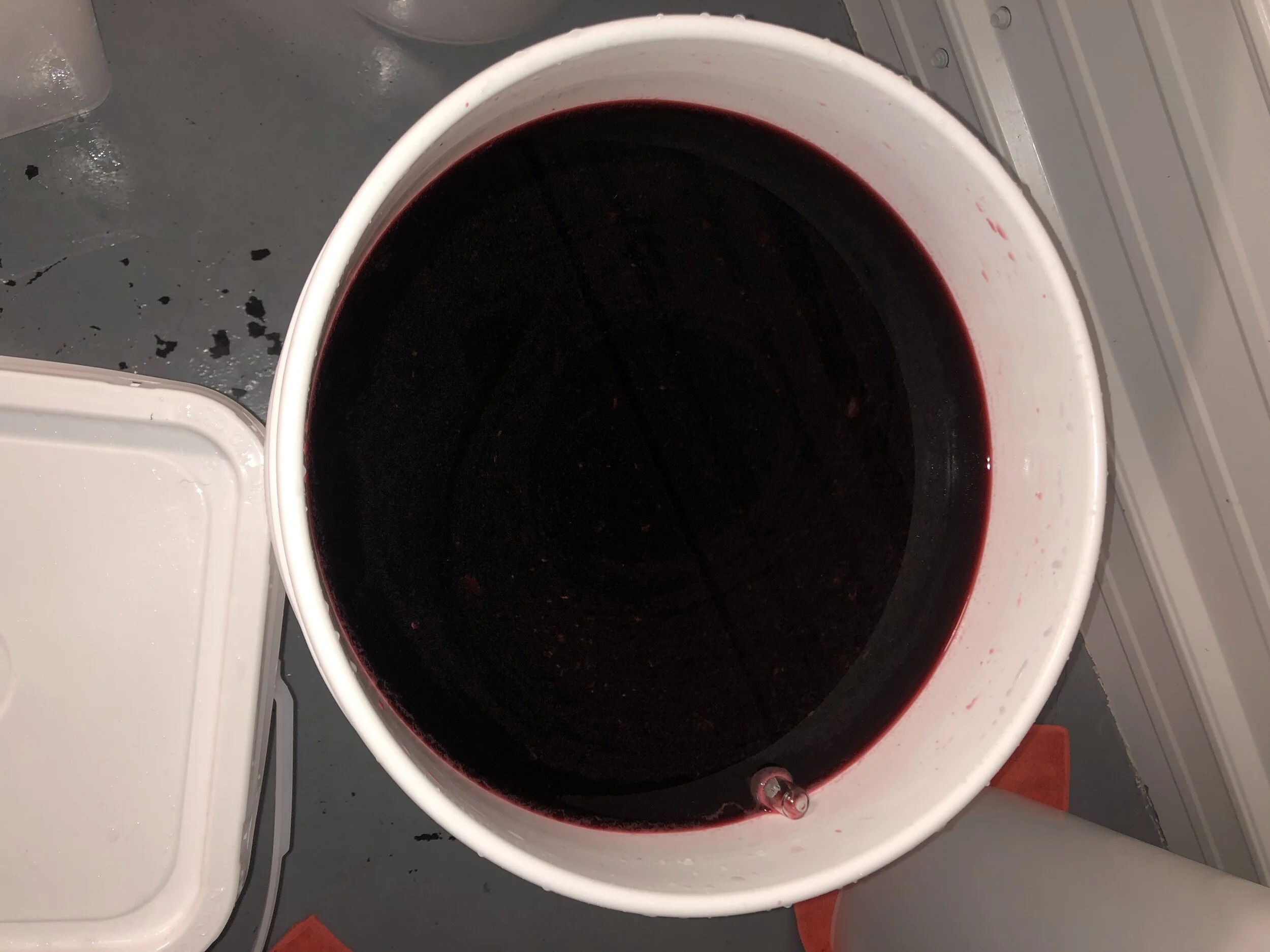 Winemaker Notes: Introduction From Our Winemaker