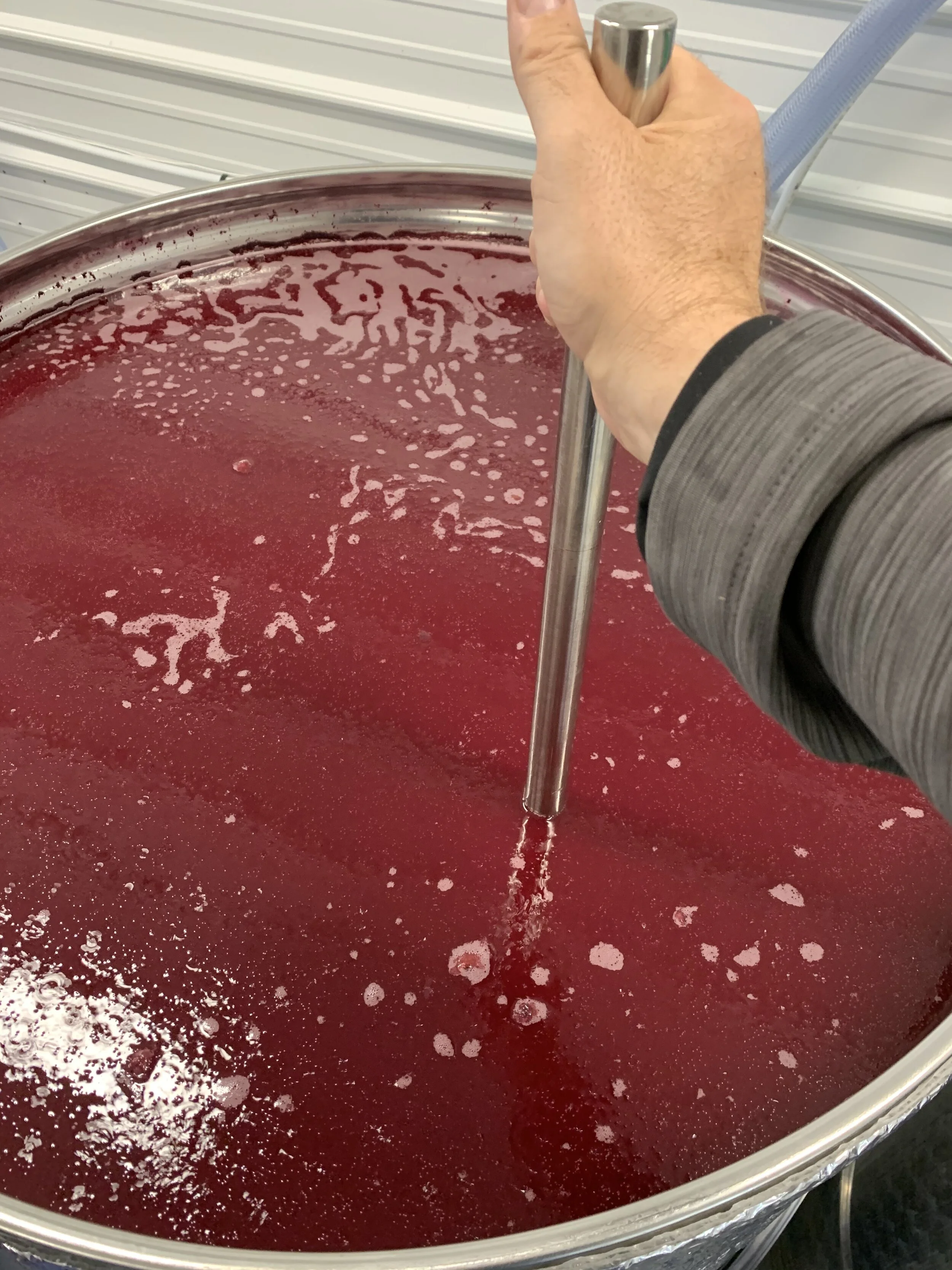 Pitching of Yeast: Official Start of Wine