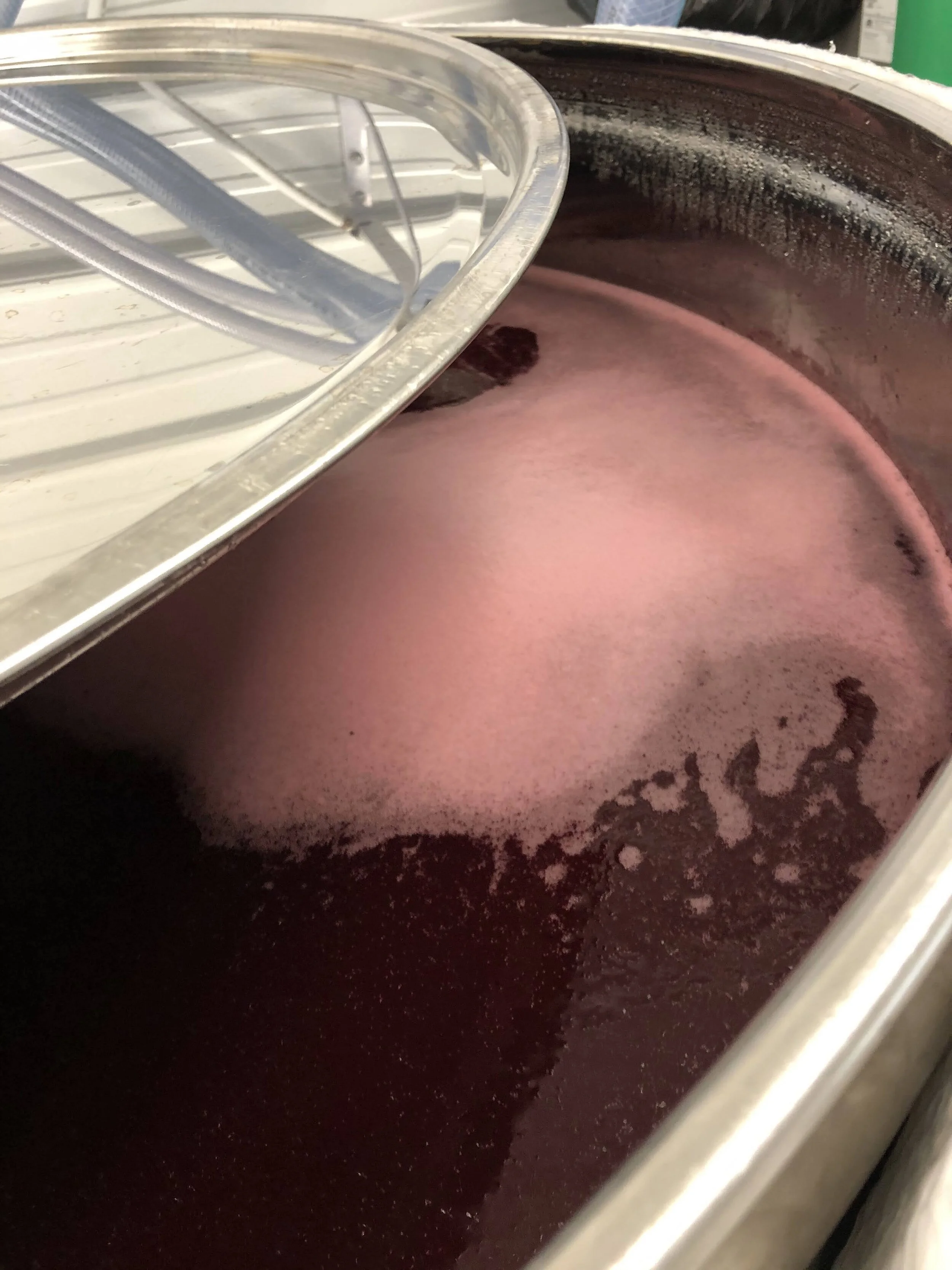 Chiad Fhion - Our First Haskap Wine 