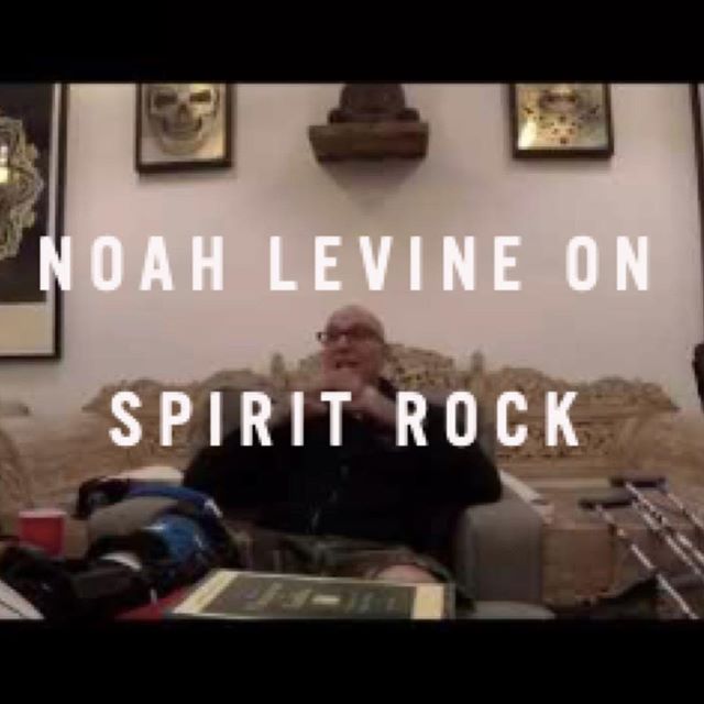 Noah Levine speaking Monday night on the Spirit Rock decision from the Sangha in Venice...be sure to watch the entire clip!  at....theamericanbuddhist.com. link in bio #againstthestream #spirit_rock #lionsroarbuddhism #tricyclemag #theamericanbuddhis
