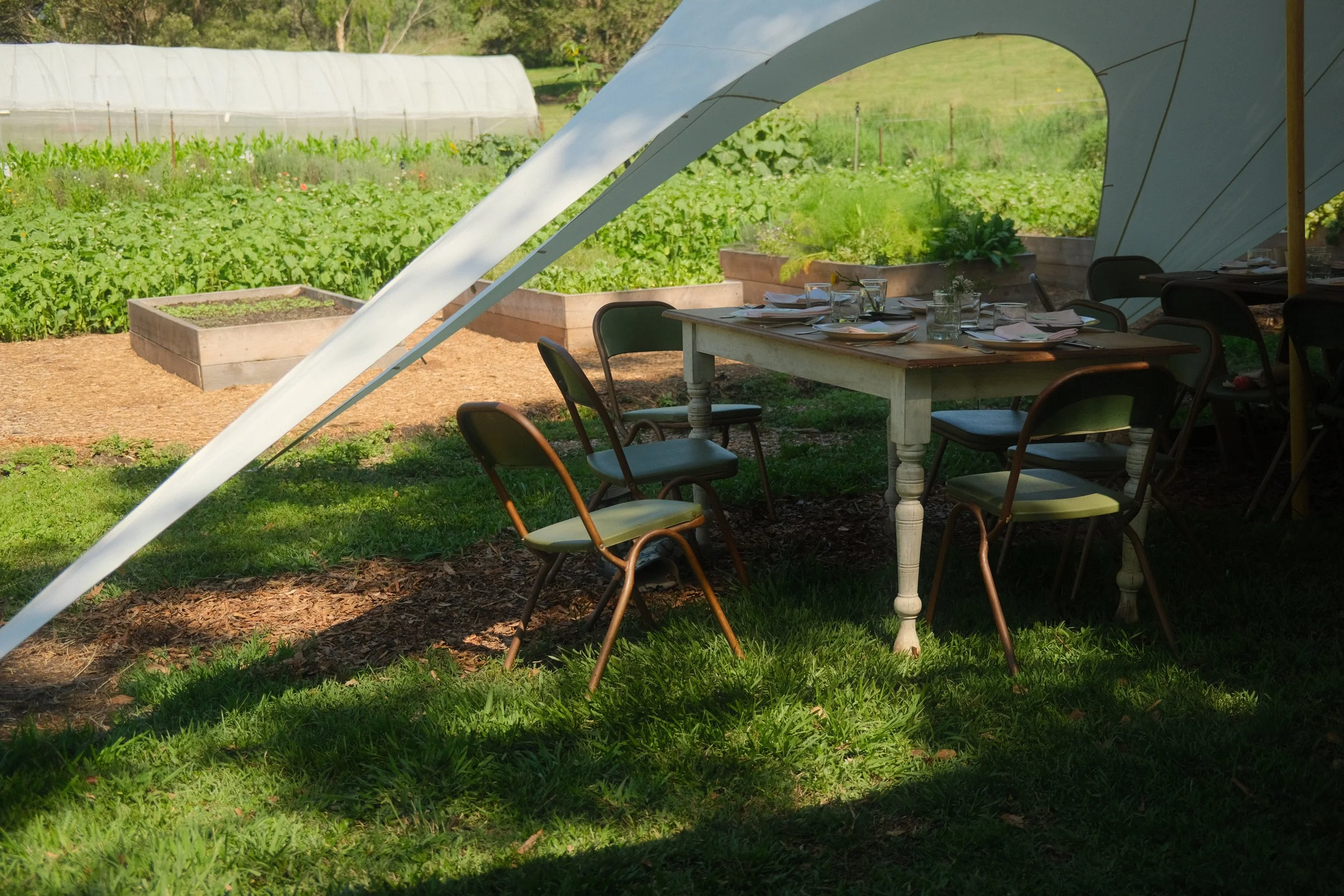 DSCF7219.JPG