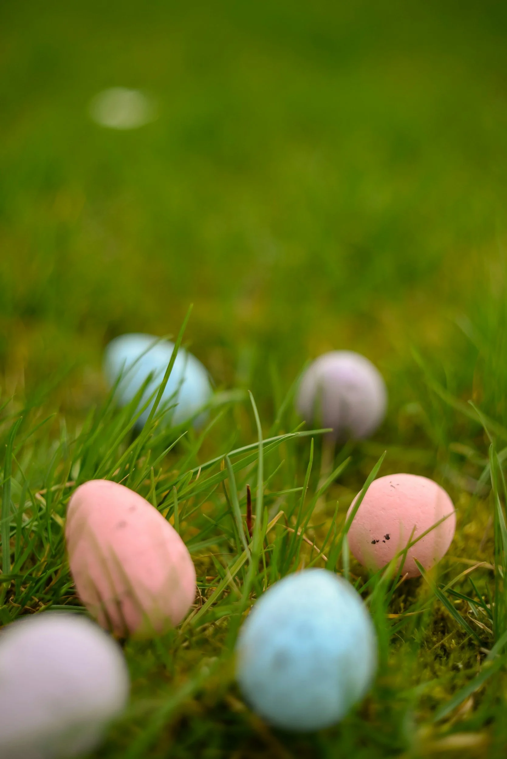 Egg Hunt