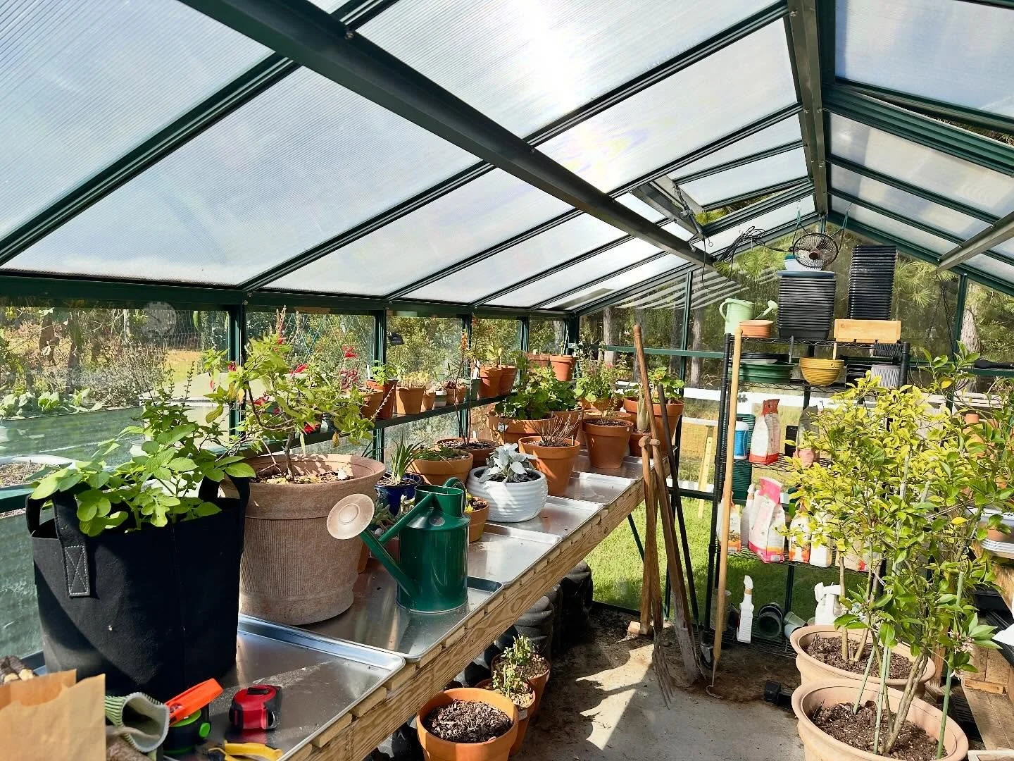 The greenhouse is filling up for the winter