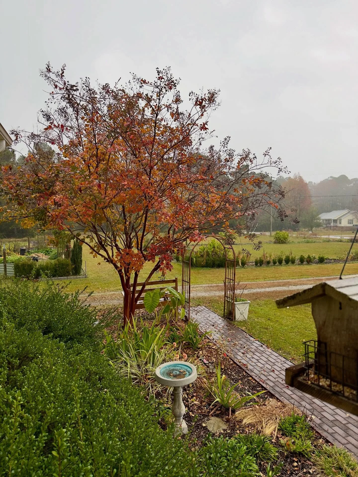 An unexpected but welcome rain.