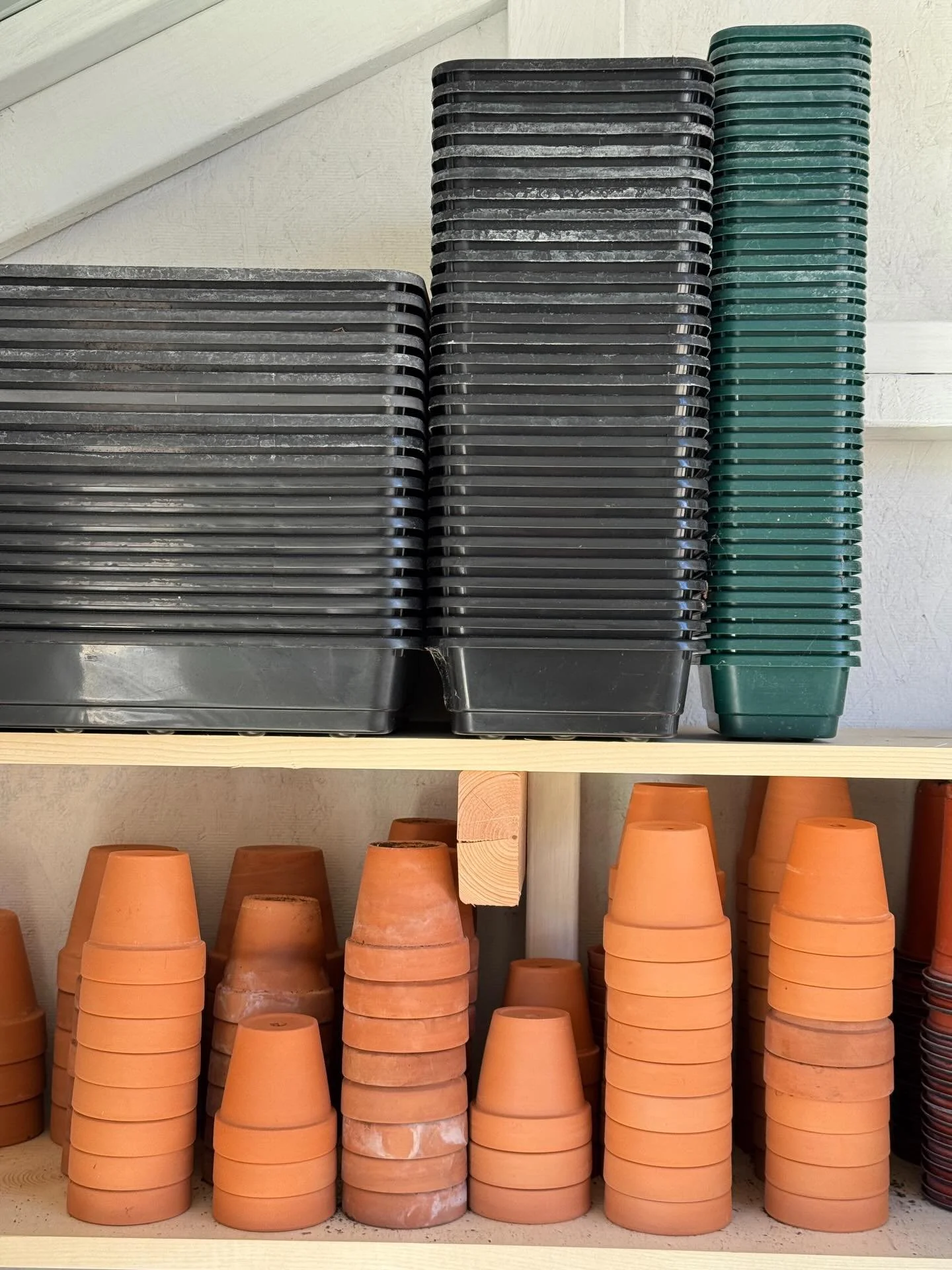 Potting shed shelves are filling up