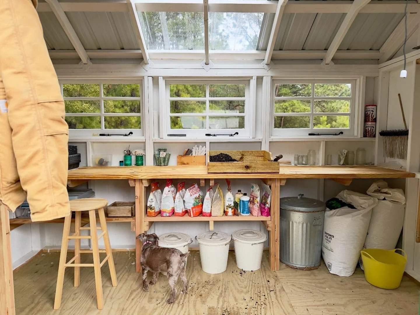 Inside of the new potting shed