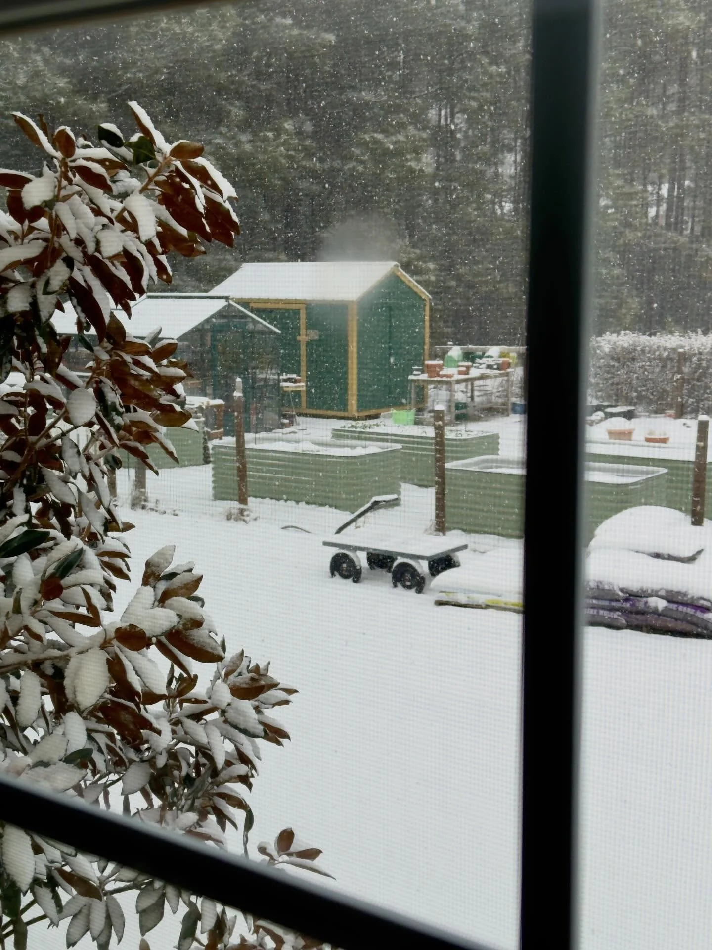 Looks cold outside 🥶