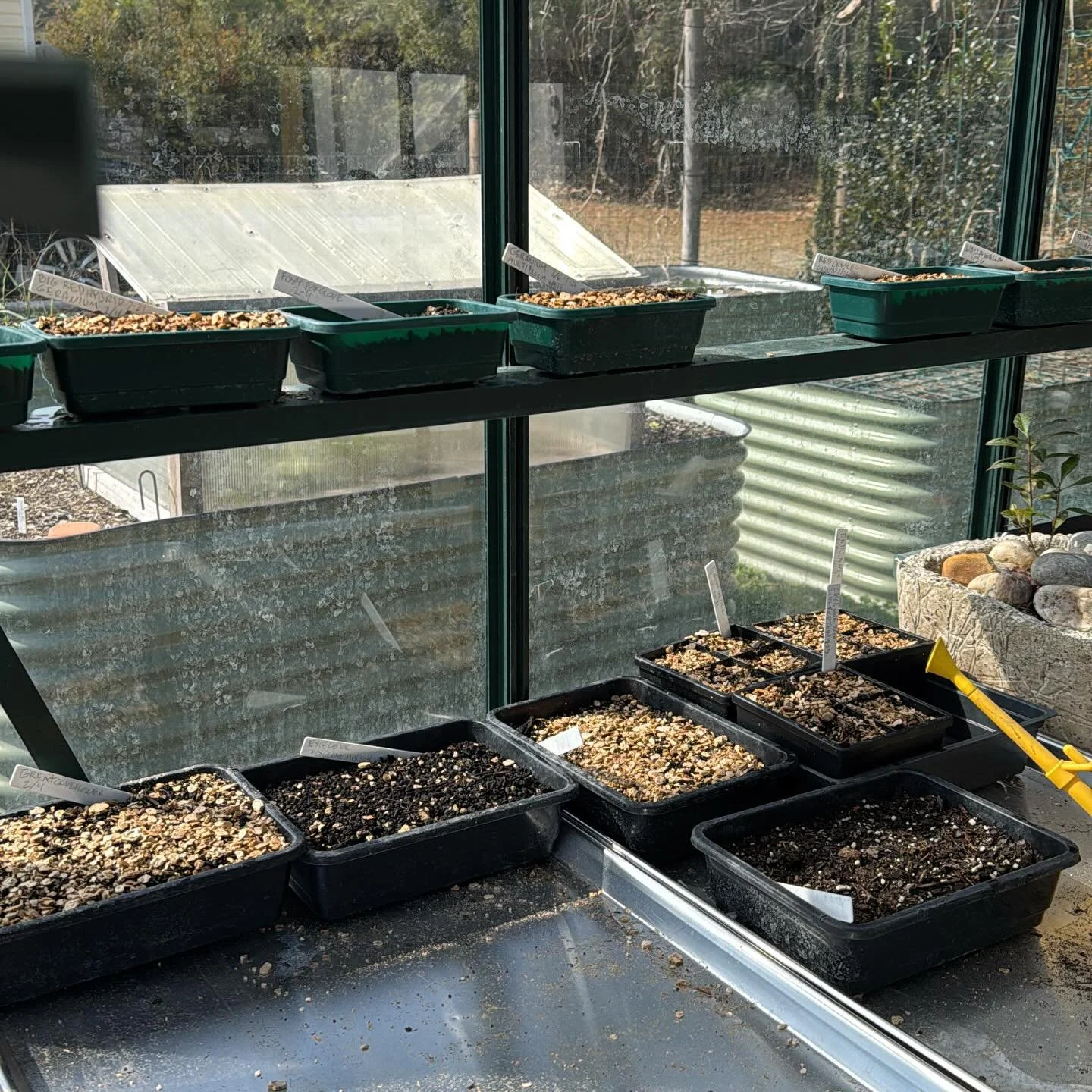 Waiting for germination 👀