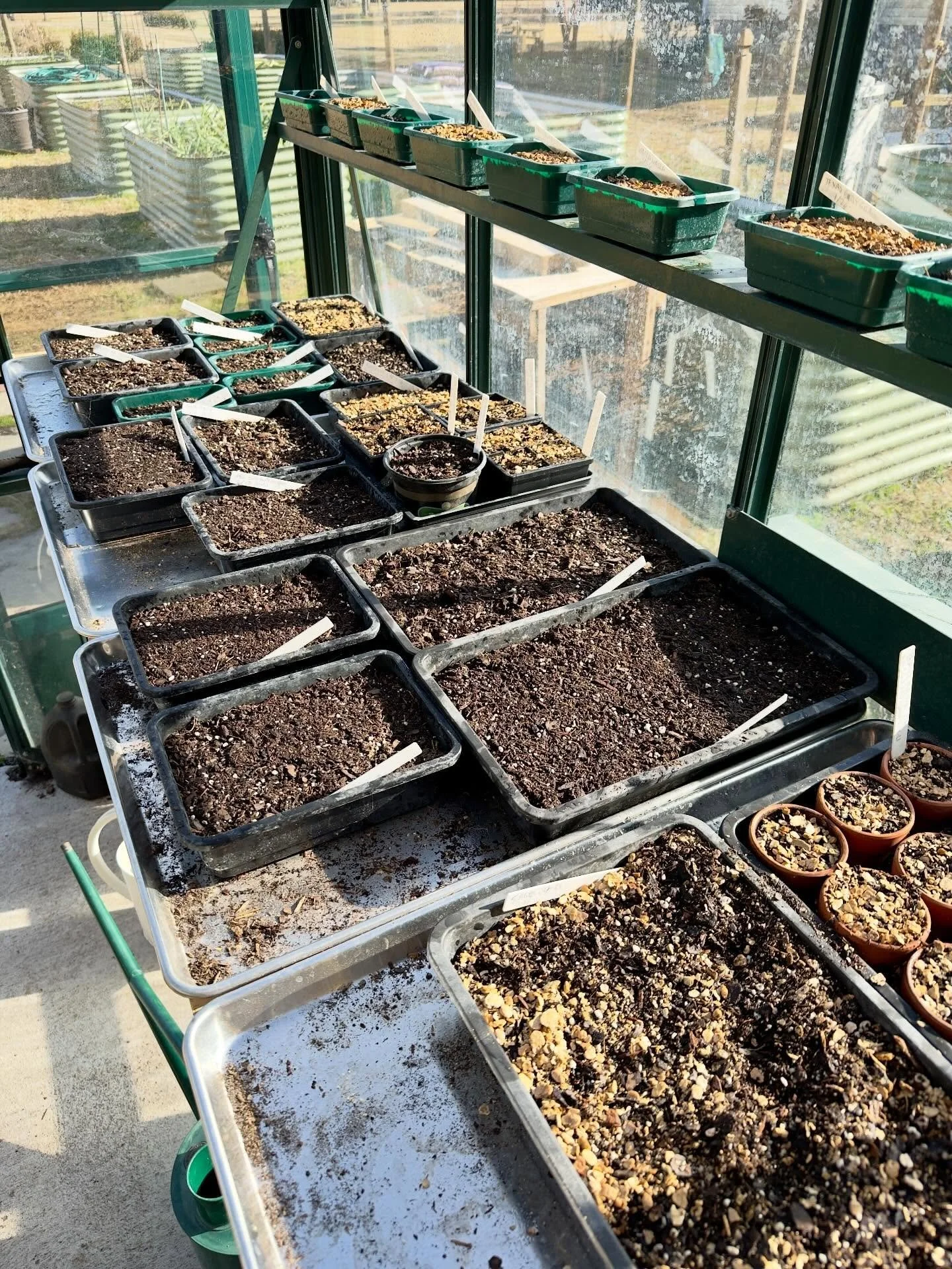 The greenhouse bench is filling up