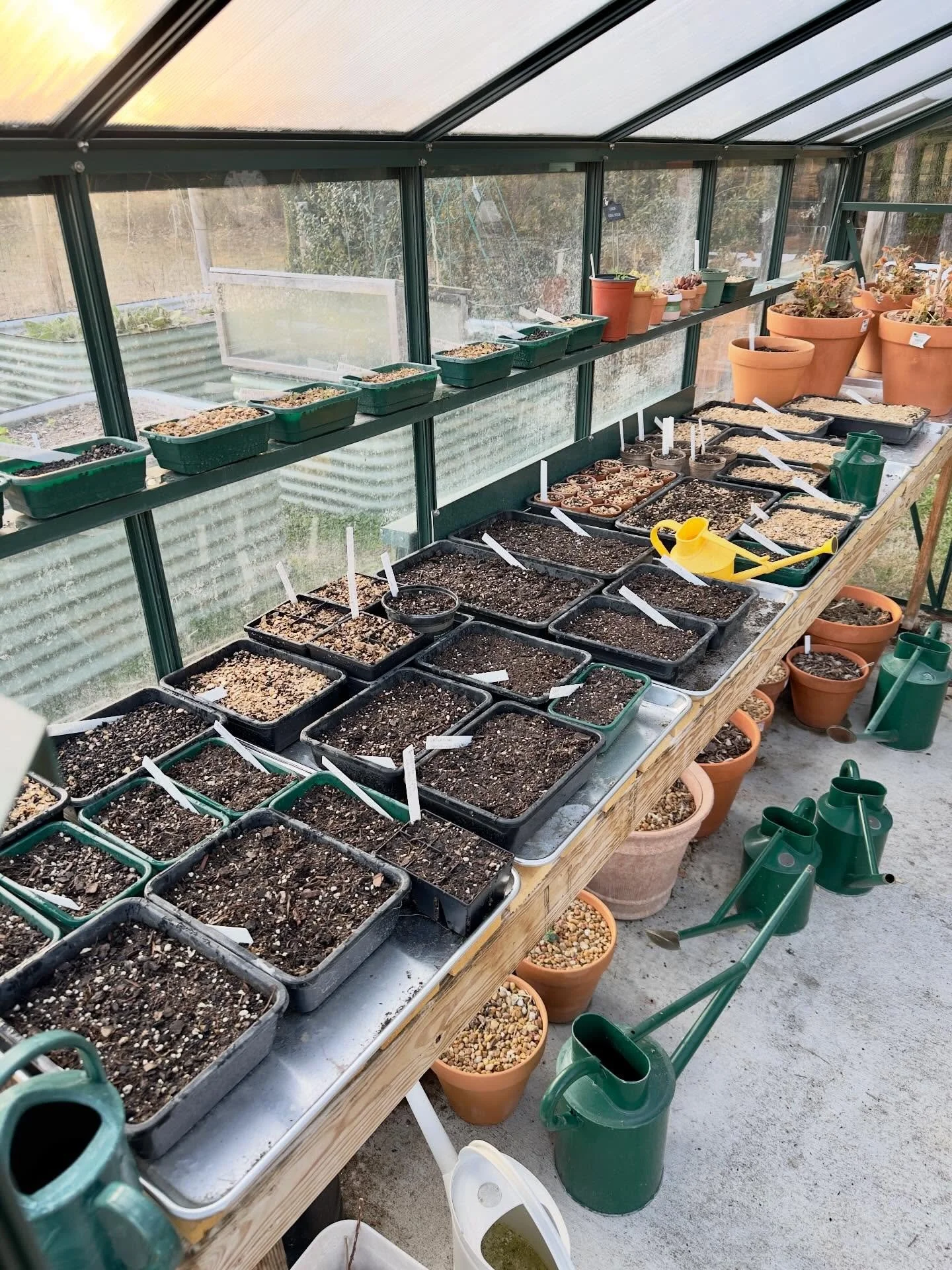 It&rsquo;s just getting started.