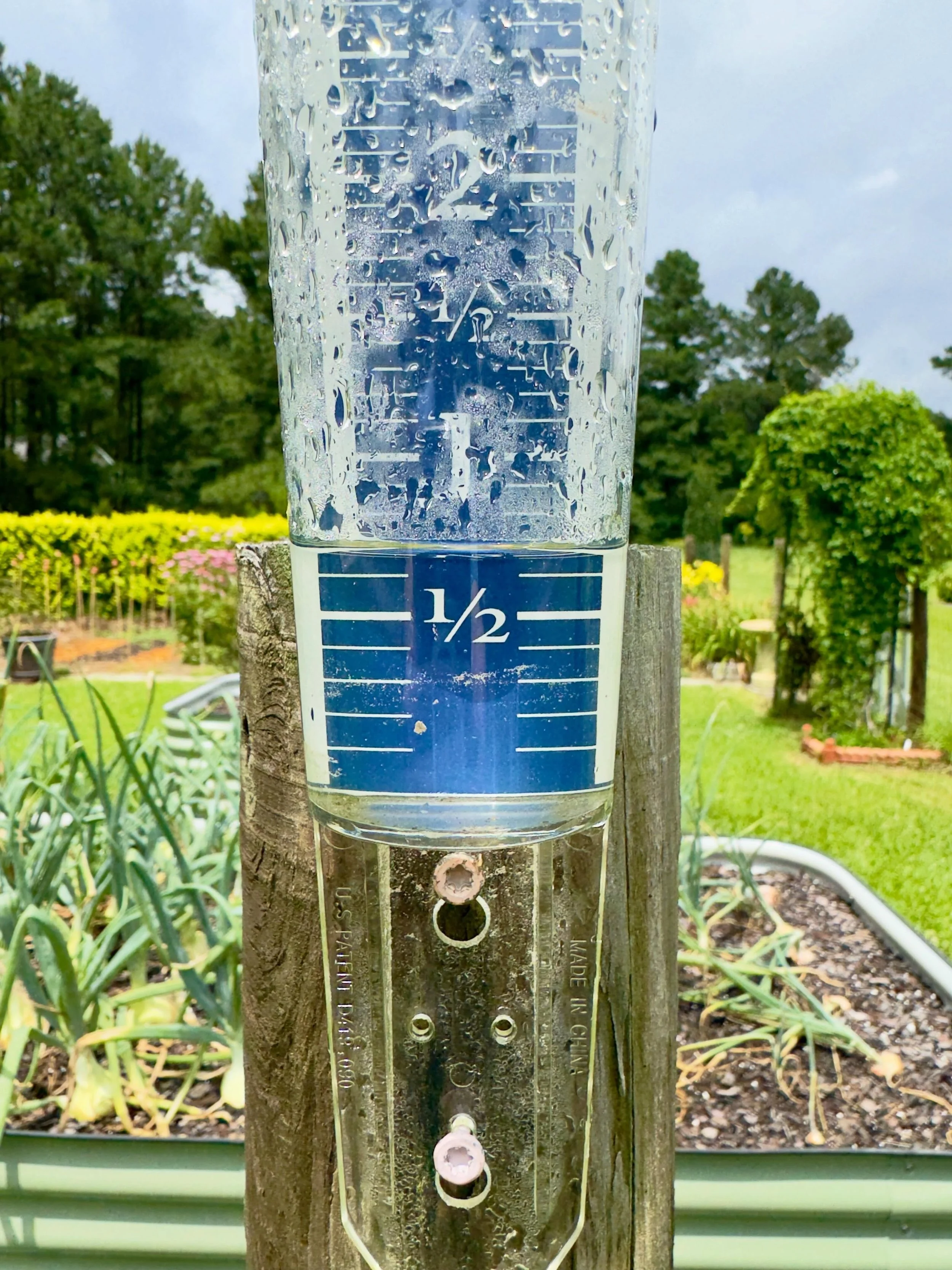 Some much needed rain yesterday