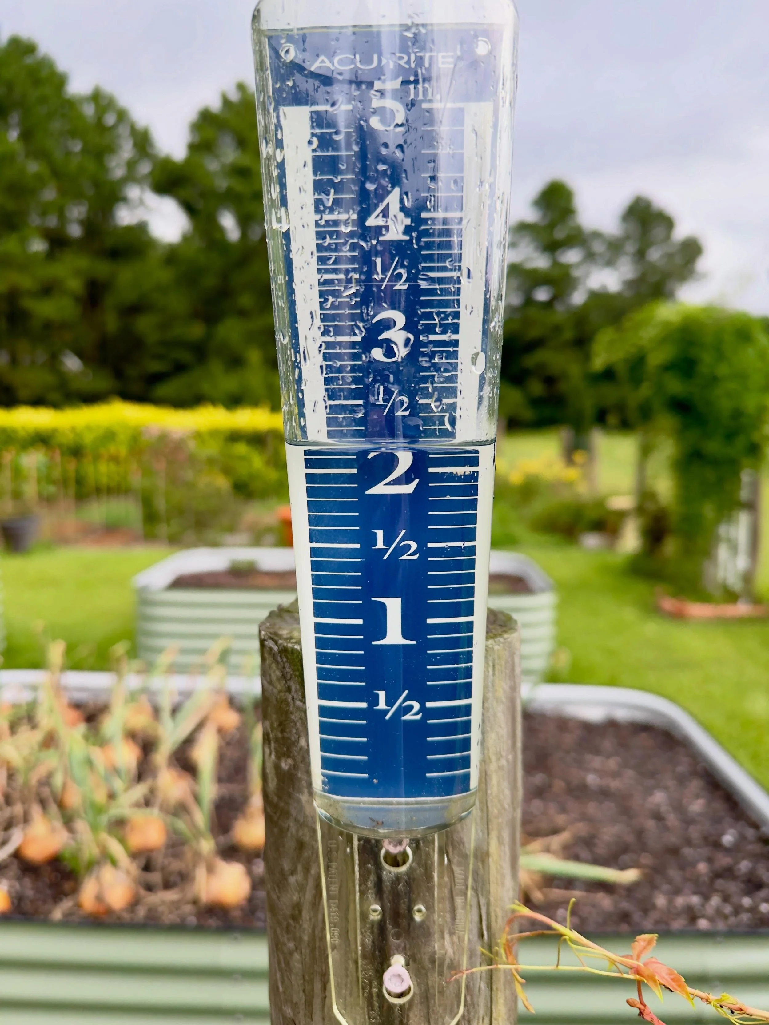 Looks about 2 1/4&rdquo;. Not bad for the past 24hours.
