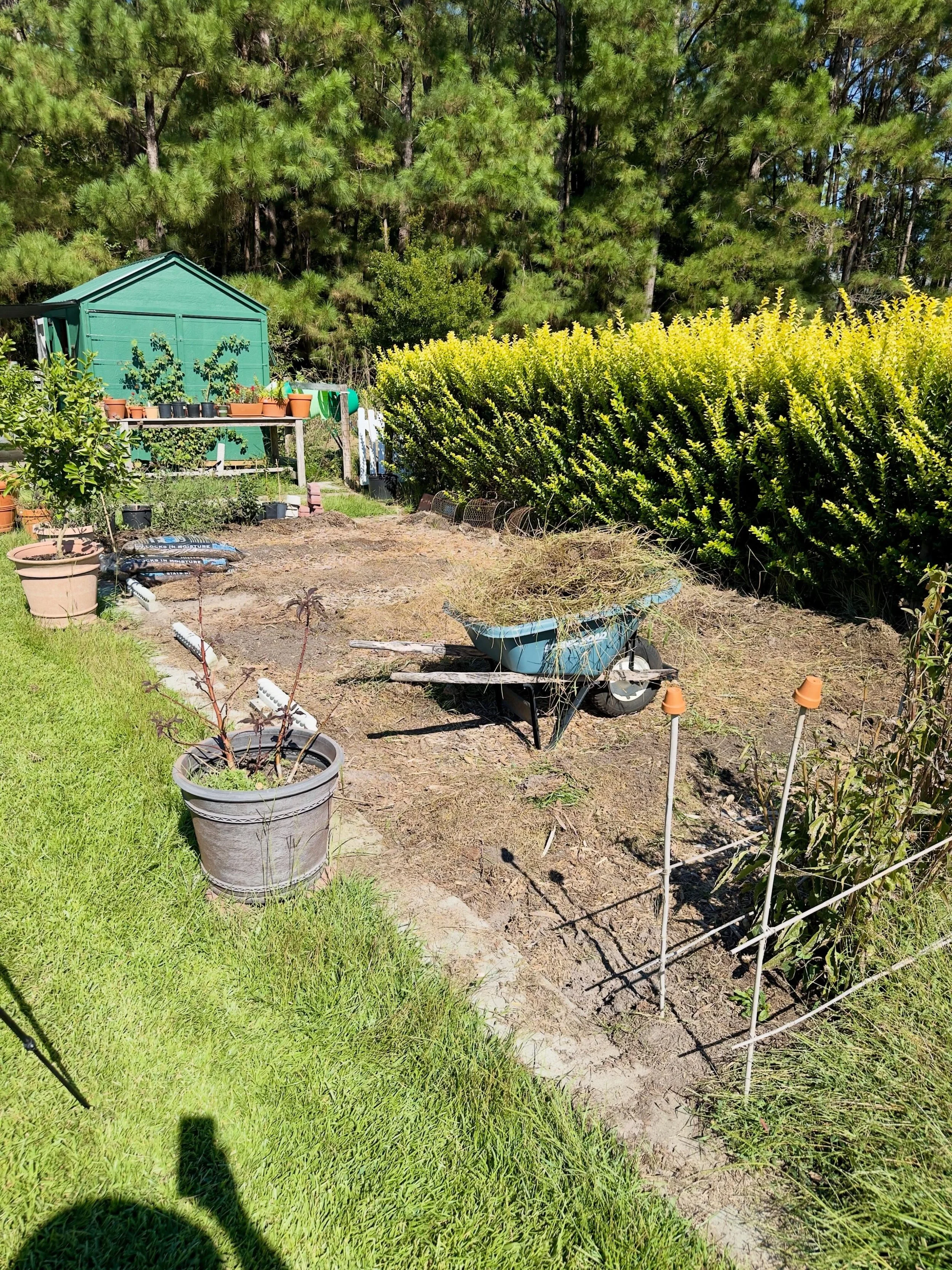 Preparing in ground beds for fall planting. Still about a third to clean.