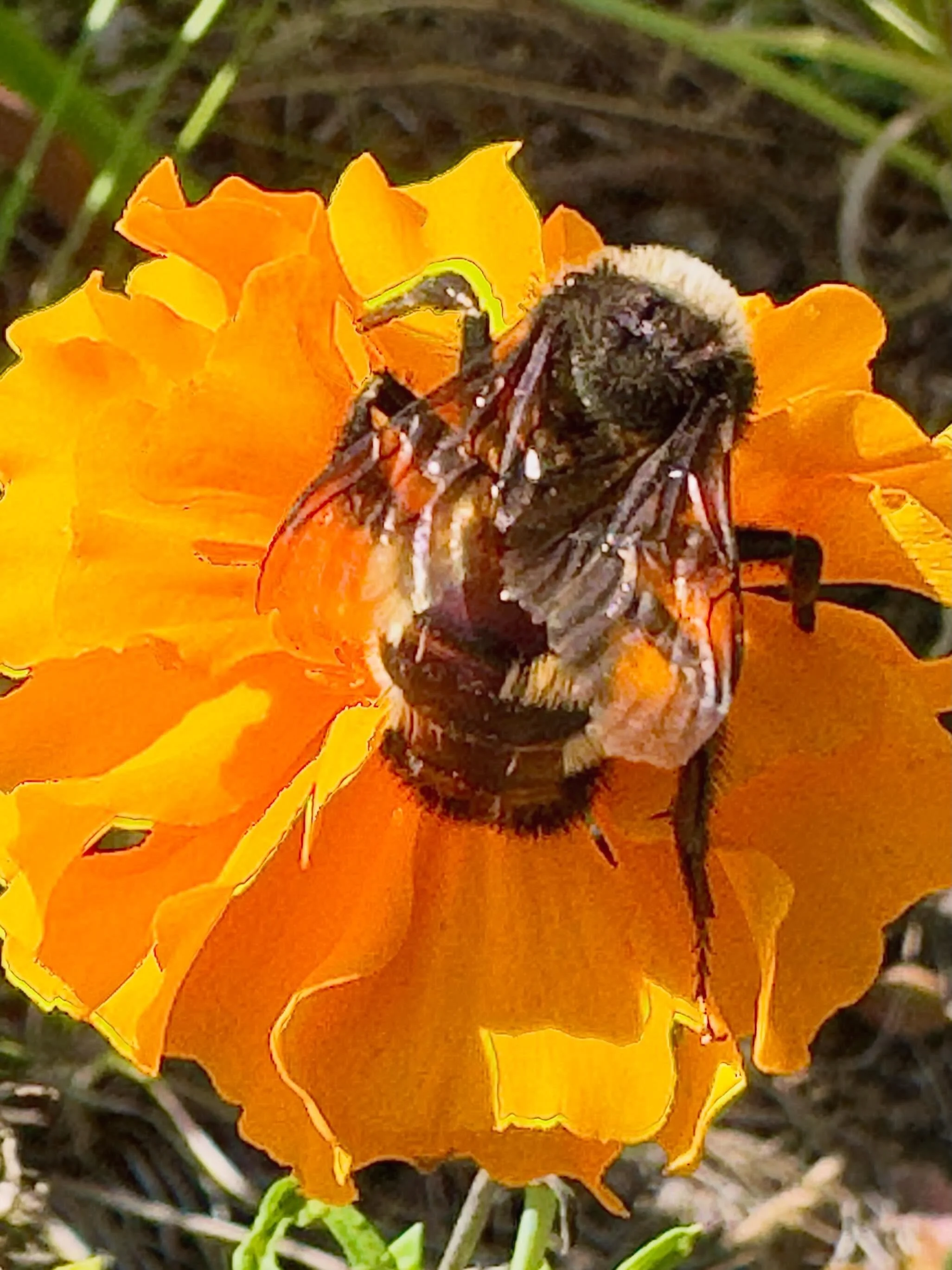 Bee happy