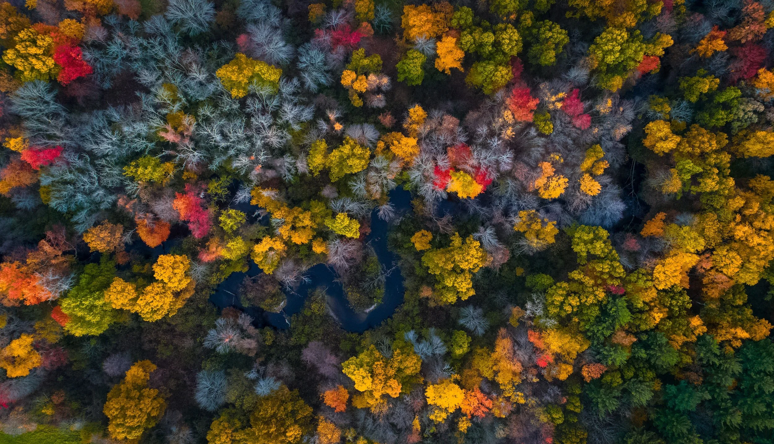 unsplash-image-MO695Hfc0j0.jpg