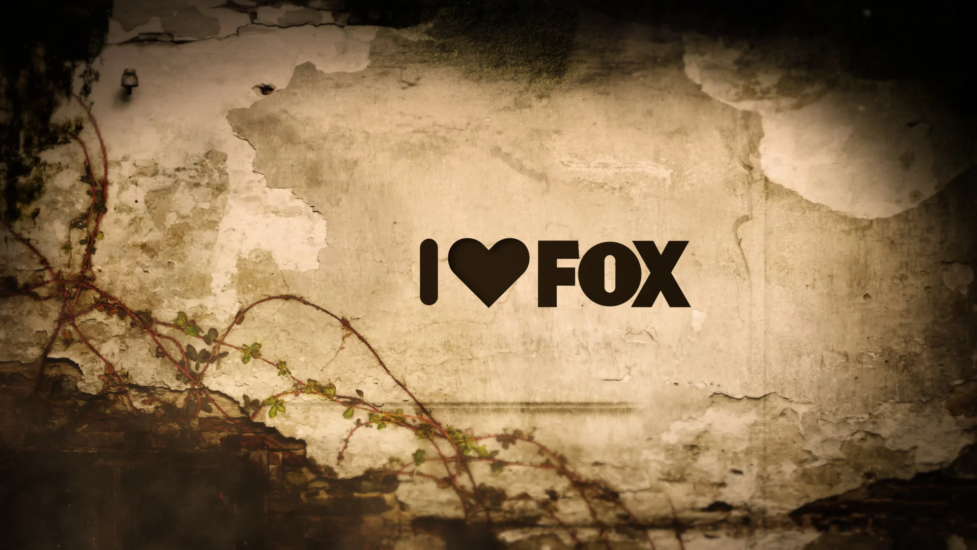 day_ilovefox_close-0-00-01-21_1920.jpg