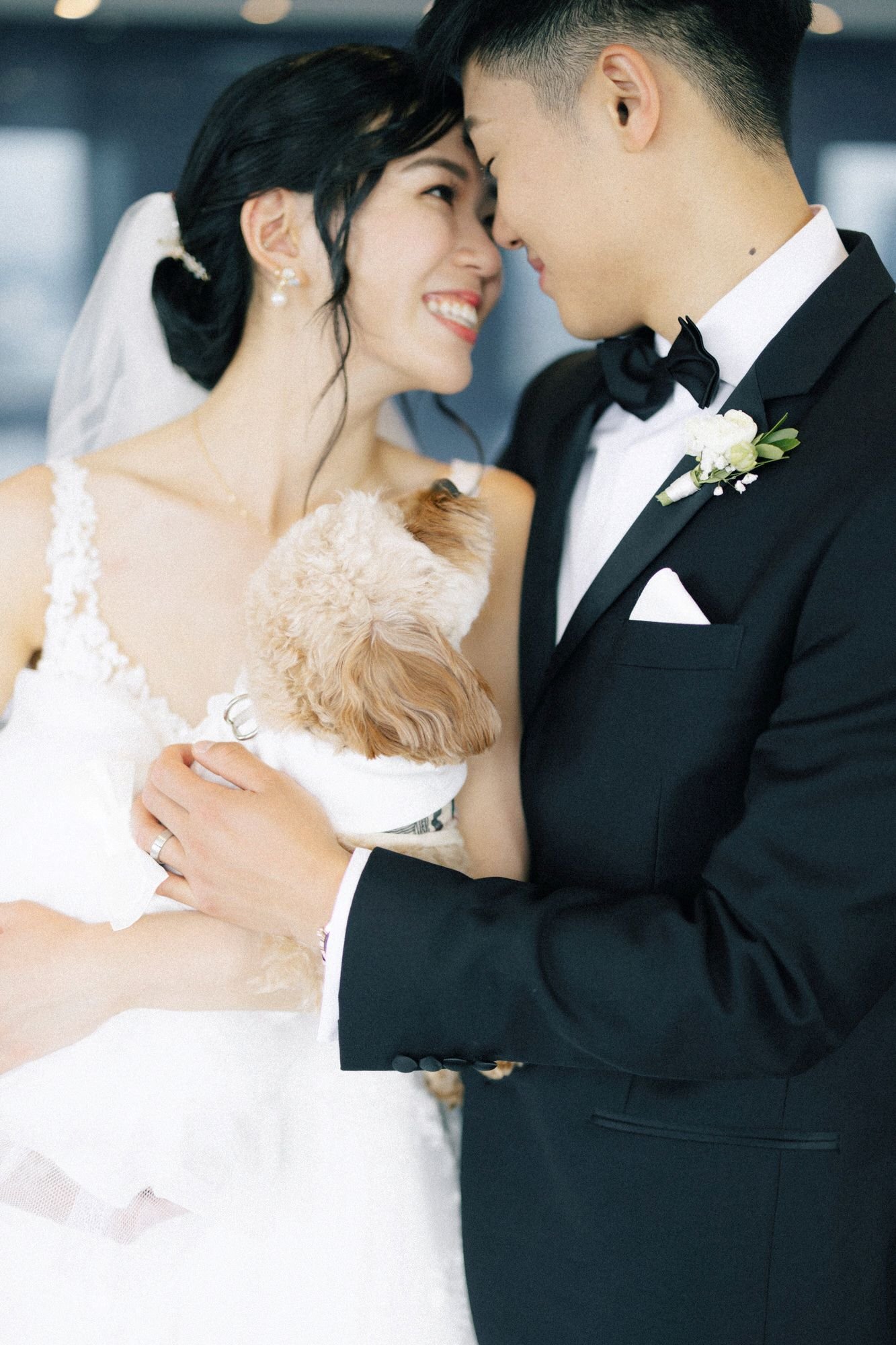A bride and groom smiling and touching foreheads during their wedding, holding a small dog.