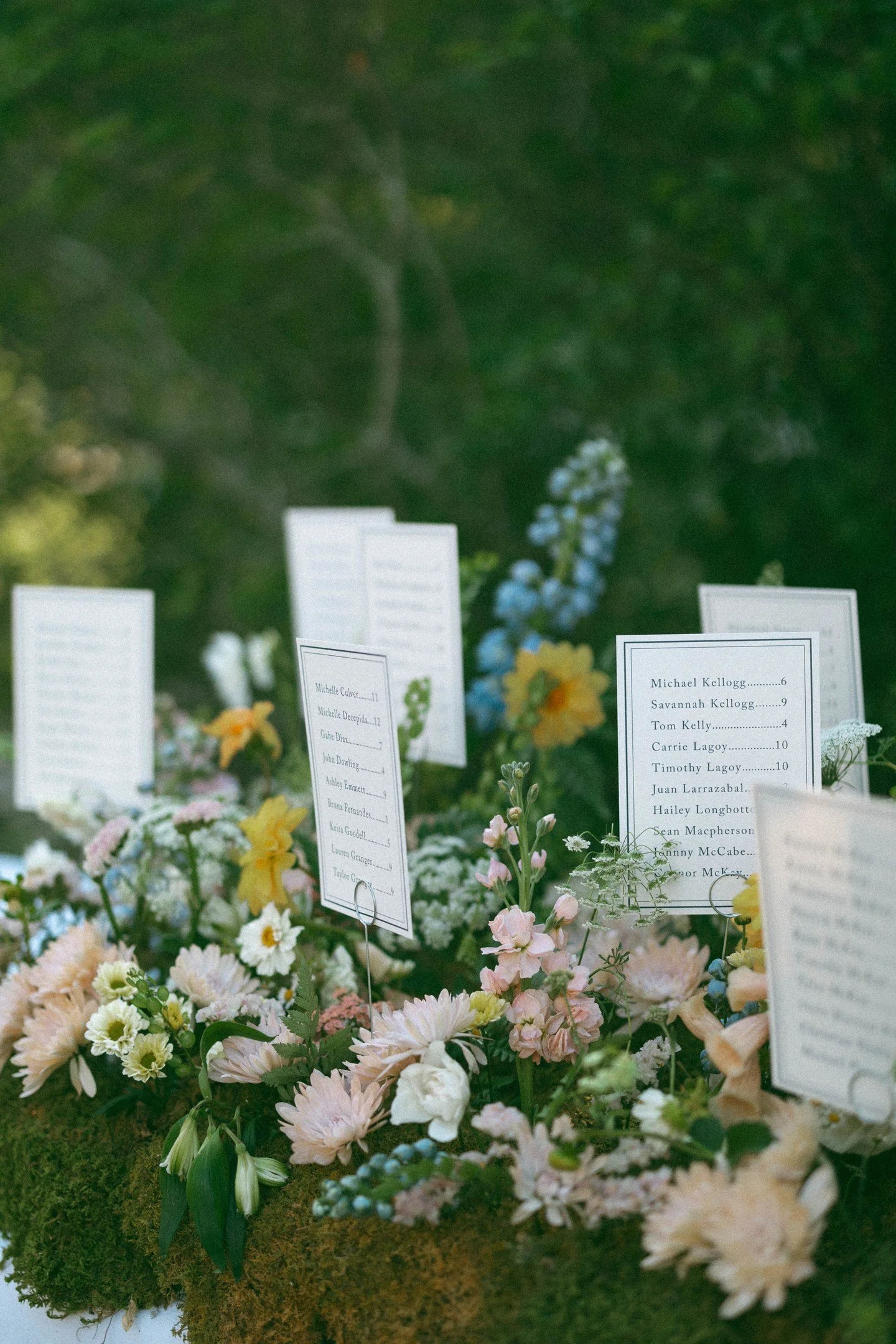 There&rsquo;s a natural rhythm to wedding planning.

I create custom planning timelines for each couple so the process can flow with their lives and priorities, while still guiding key decisions and milestones throughout.

When everything unfolds as 