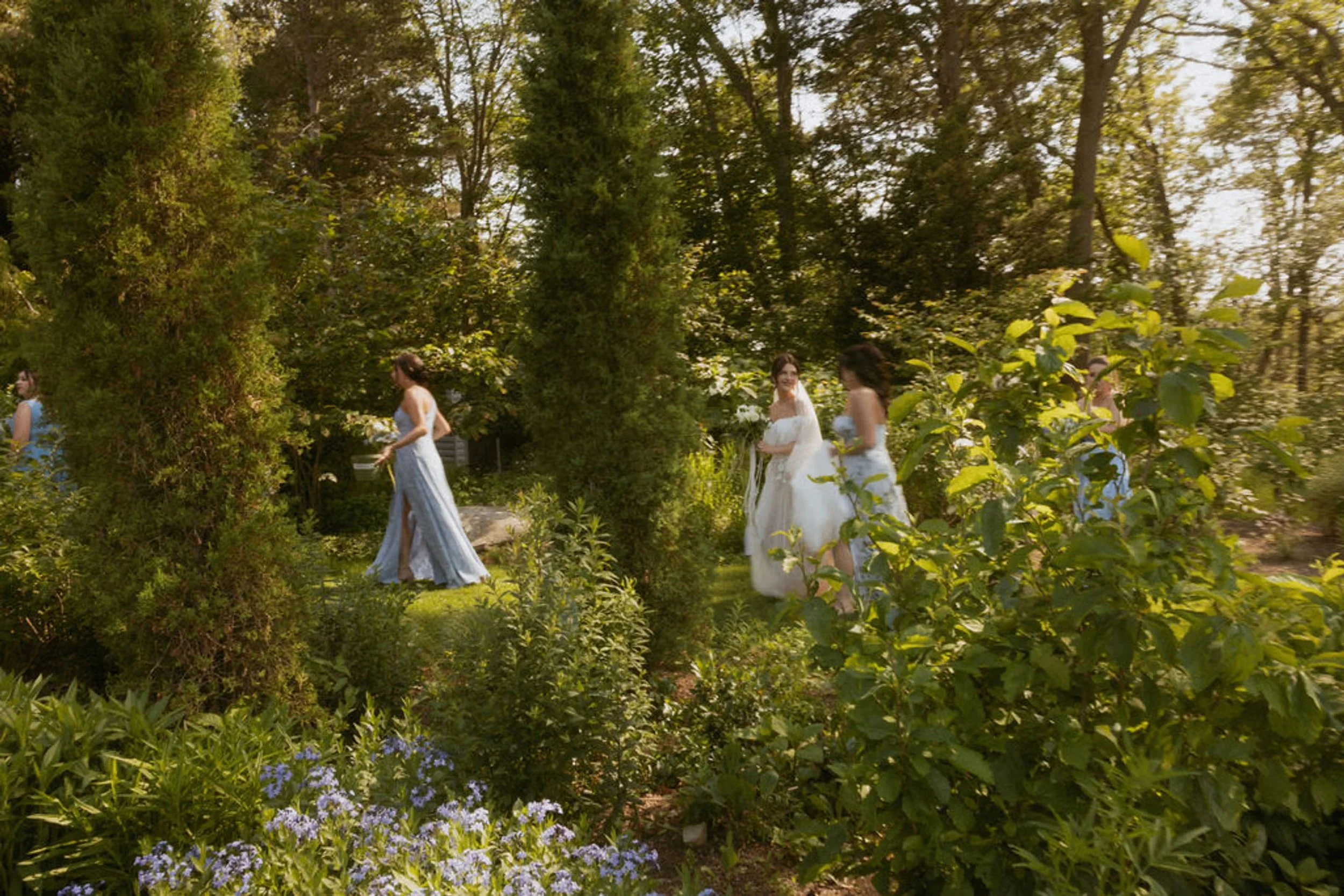 Wide shot of bride and bridesmaids walking through a lush garden surrounded by greenery and flowers in warm sunlight.