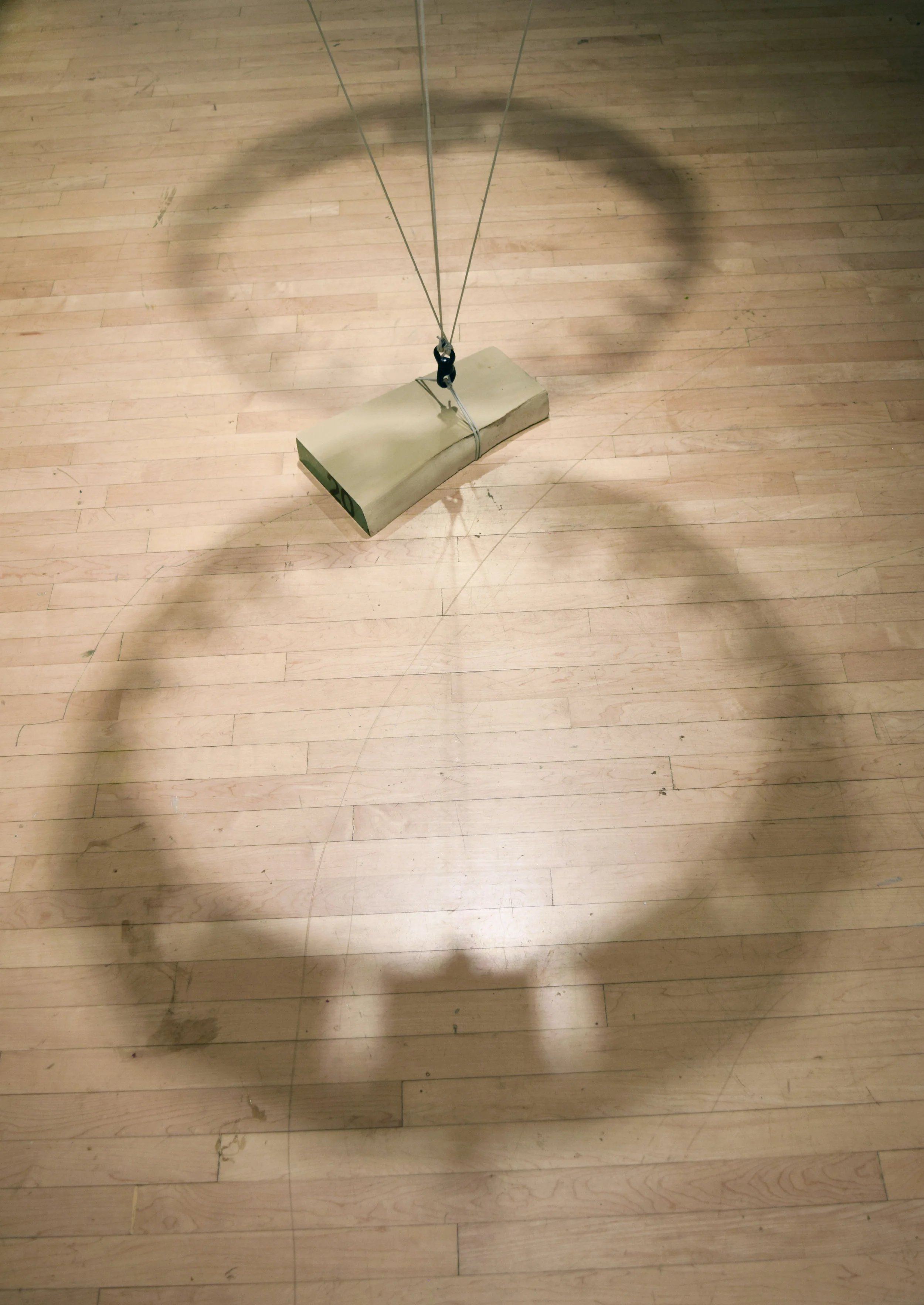 Levigator Zoetrope (detail)