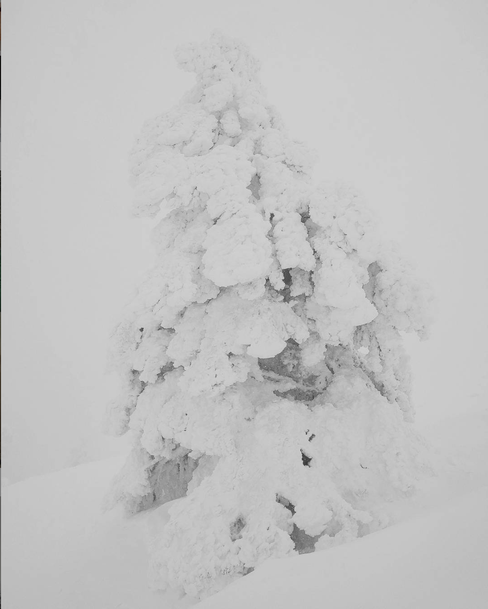 The Snow Man by Wallace Stevens