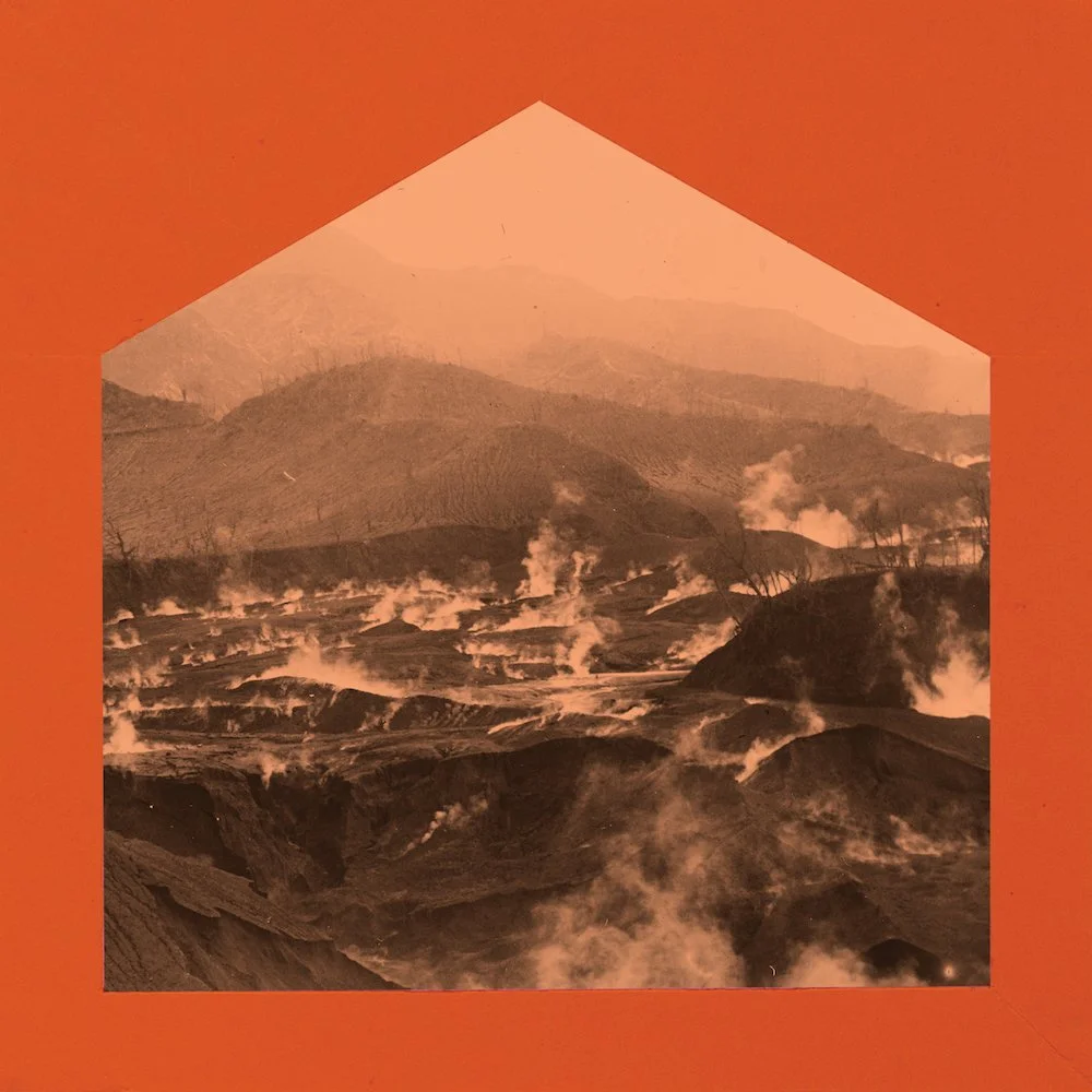 Next Town's Trees release date set