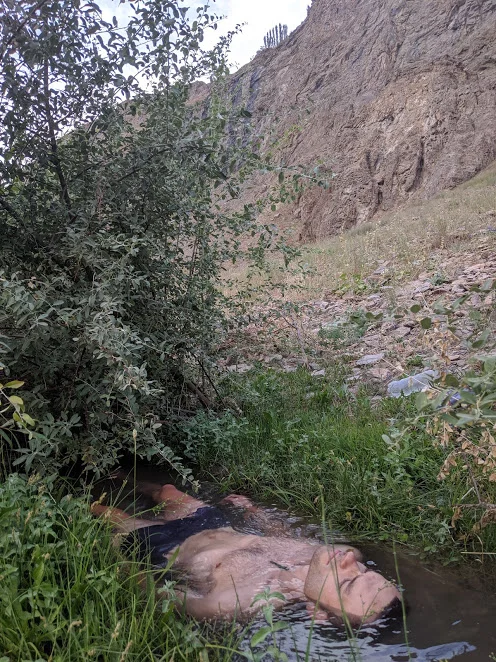 Central Asian Ophelia