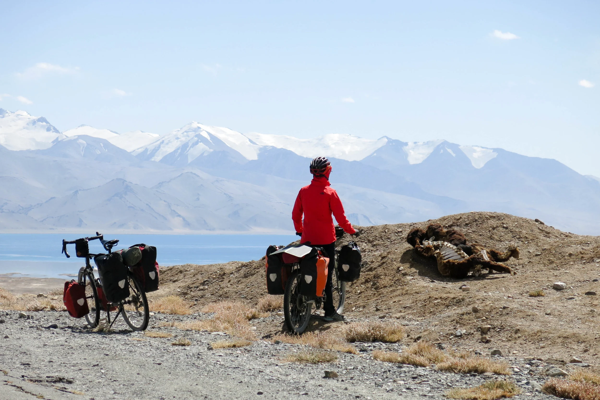 A view of Lake Karakul and a yak carcass. PHOTO: JACK EWING