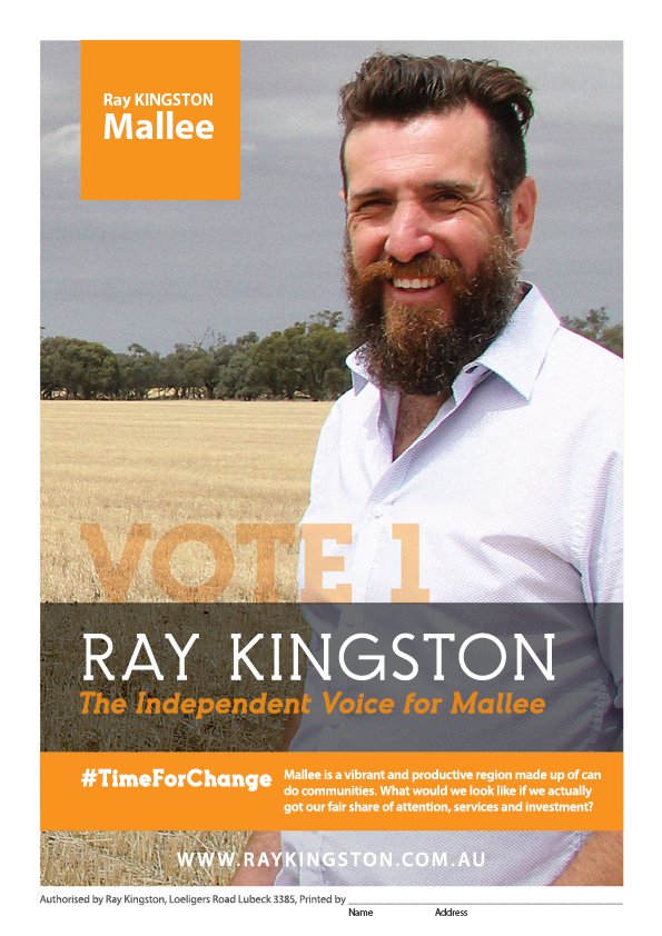 Vote1RayKINGSTON.png