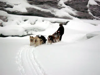 59-remote-wilderness-dog-sledge.jpg