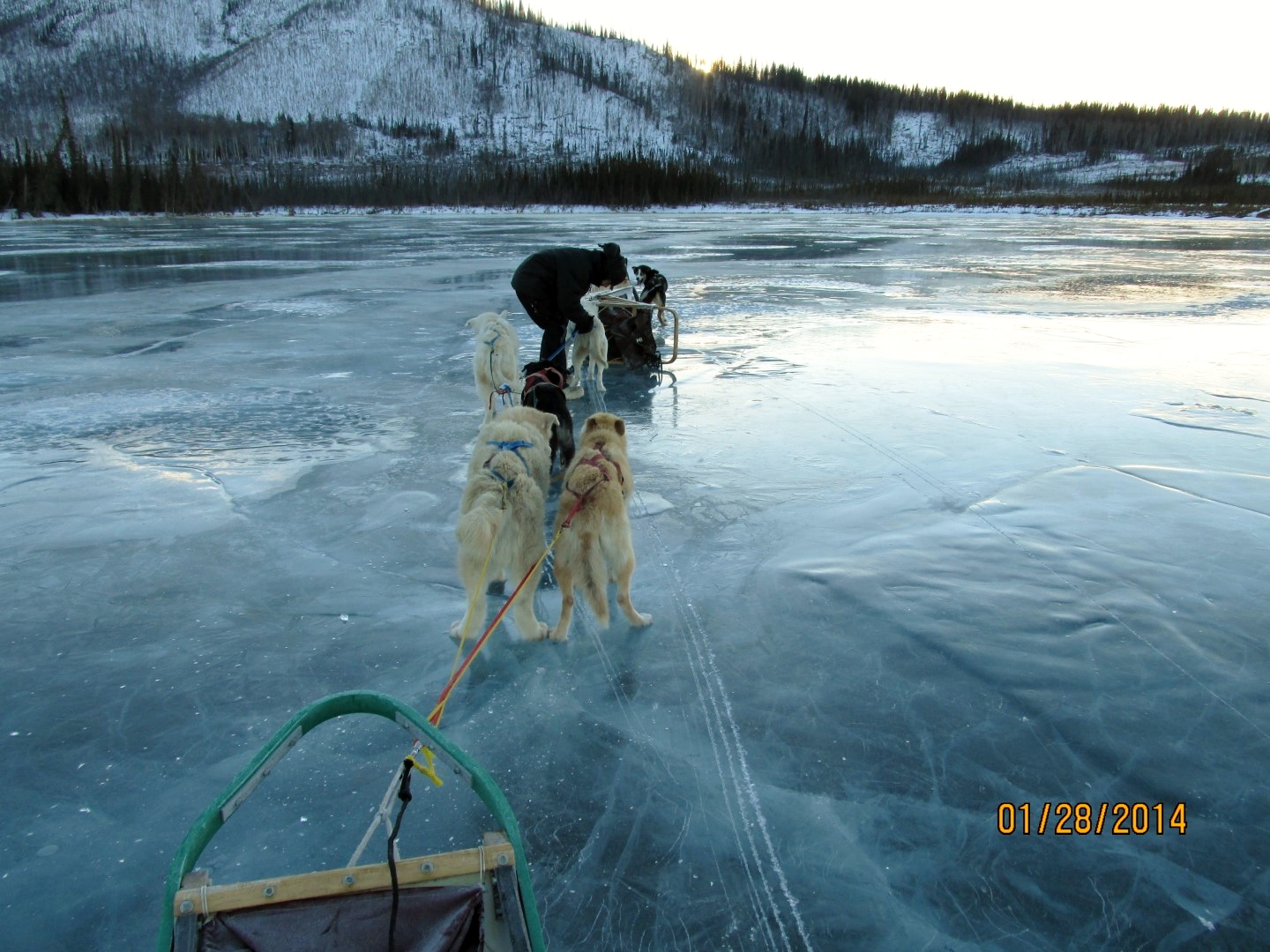 Bush Alaska Expeditions 0915 (Large).jpg