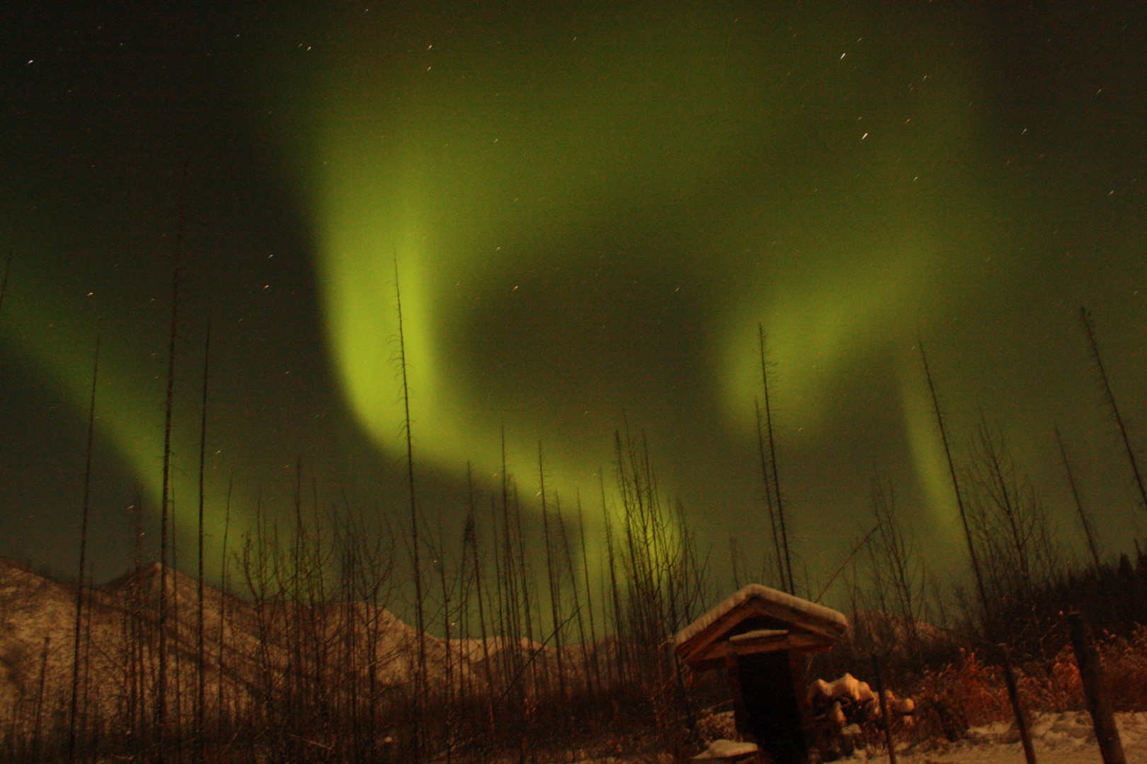 Northern lights (aurora Borealis) alaska