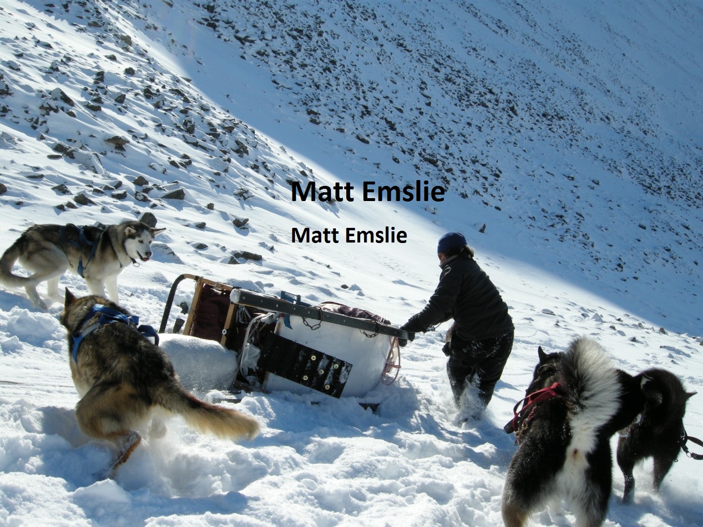 Matt Emslie dog sled guide alaska yukon