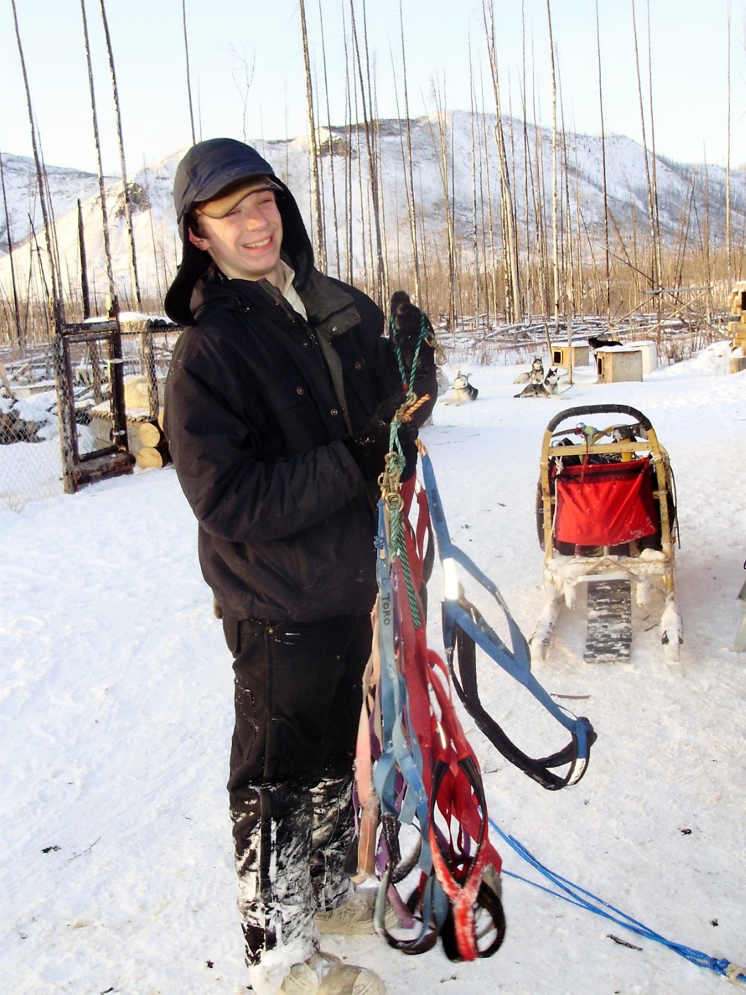 Matt Hall Dog Sled alaska yukon wilderness