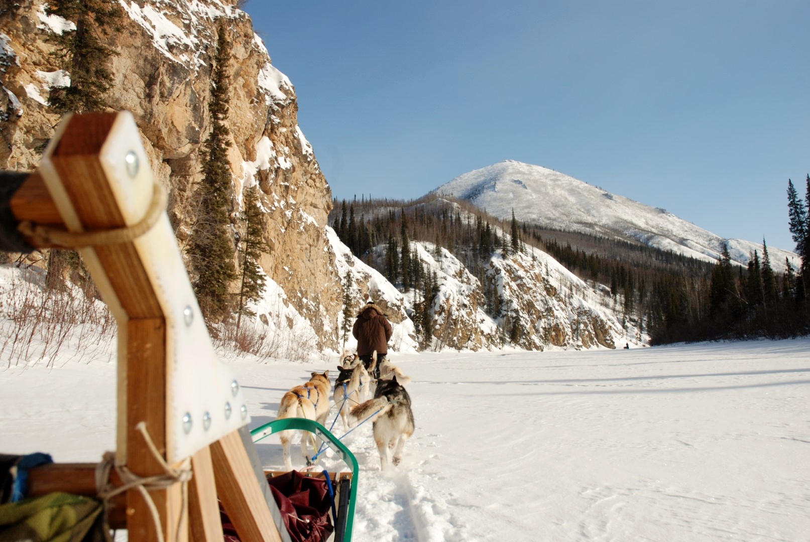 Dog sled National Park Service Yukon Charley Rivers Preserve