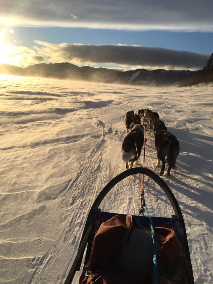 Dog sled National Park Service Yukon Charley Rivers Preserve
