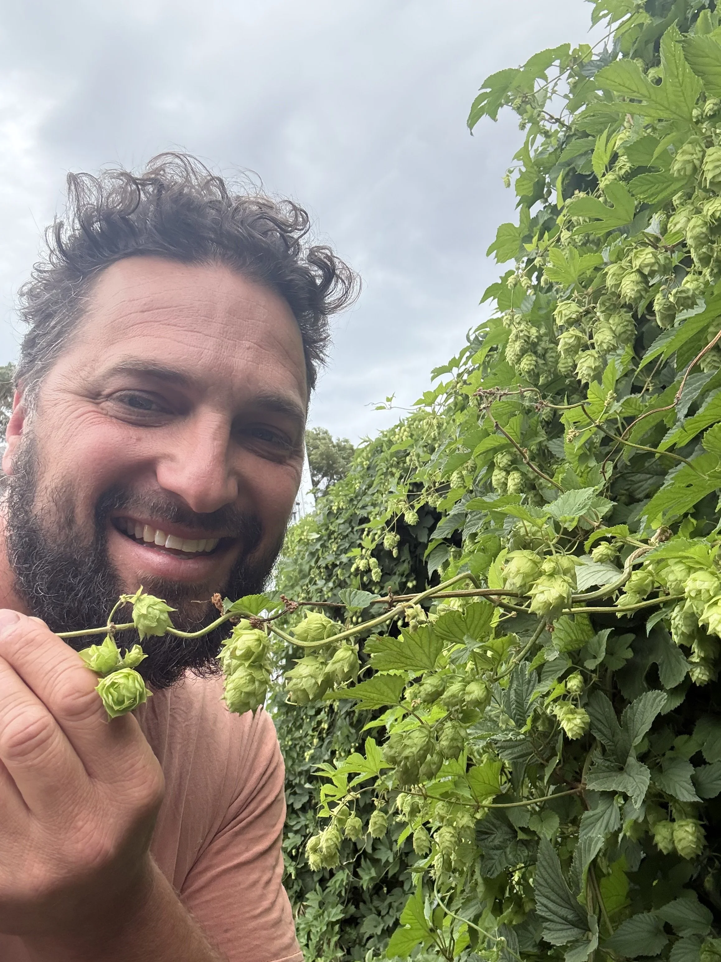 Hop Pickers Lunch — Noodledoof Brewing & Distilling Co.