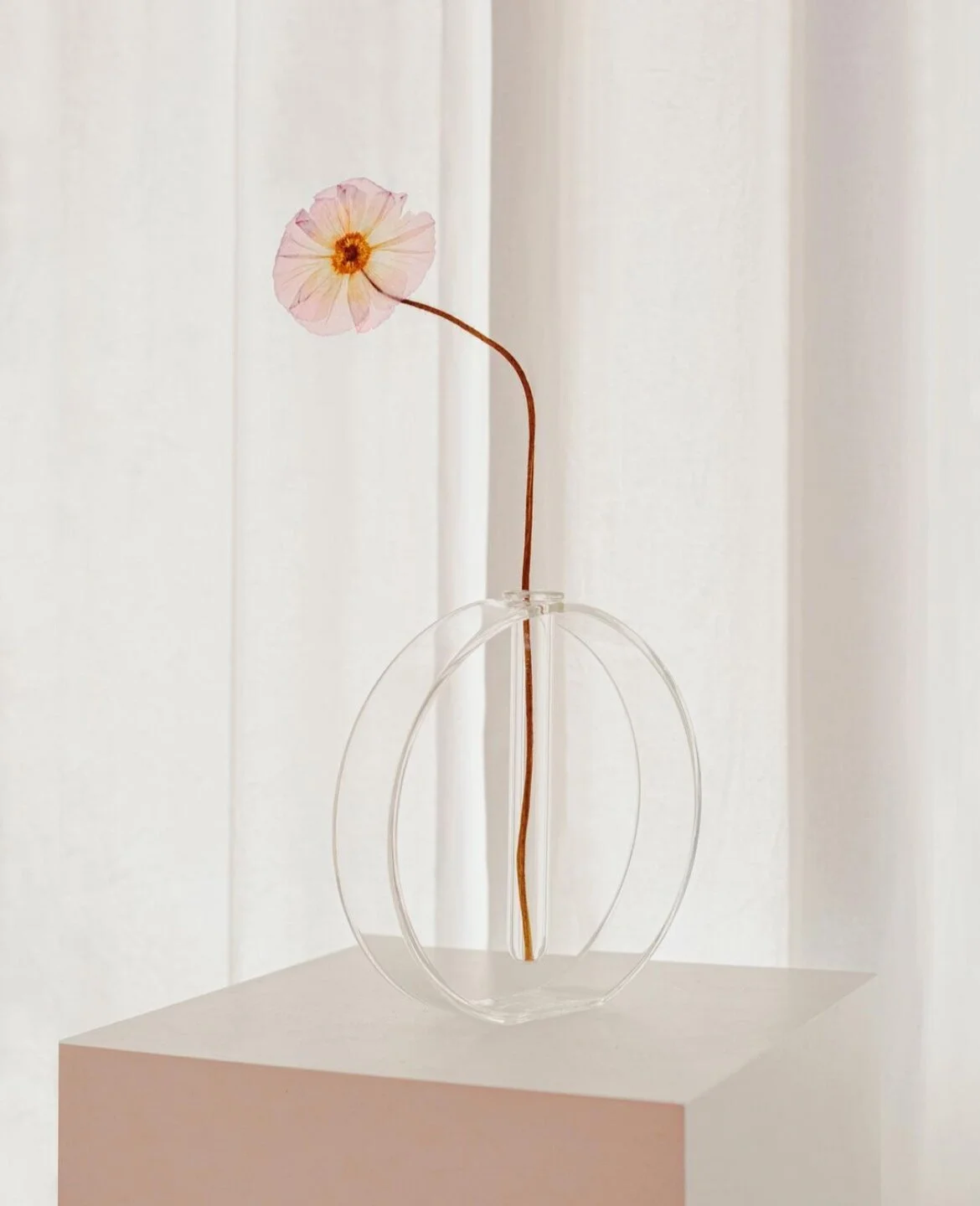  Gaia Vase by Valeria Vasi 