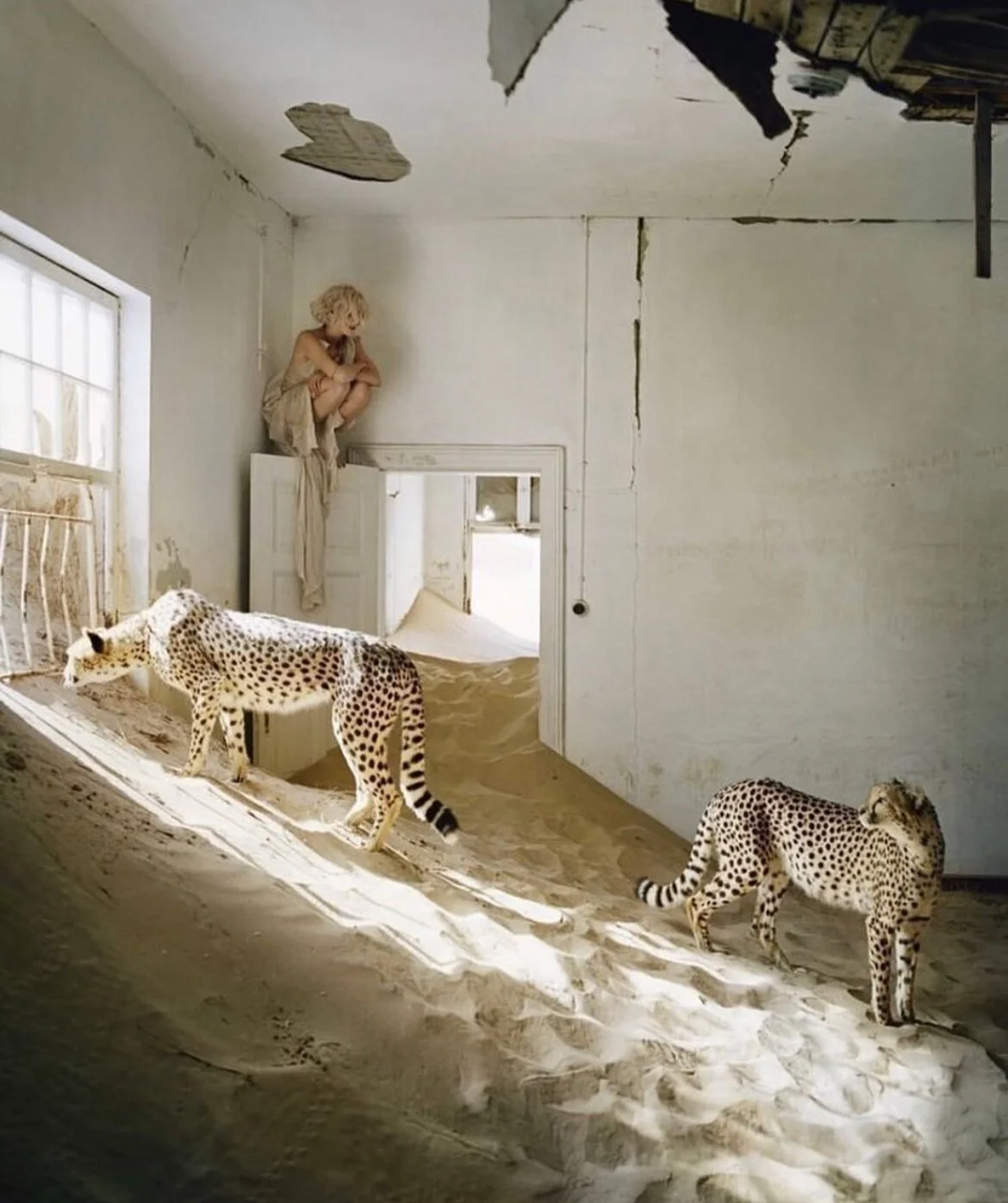  Photograph by Tim Walker 