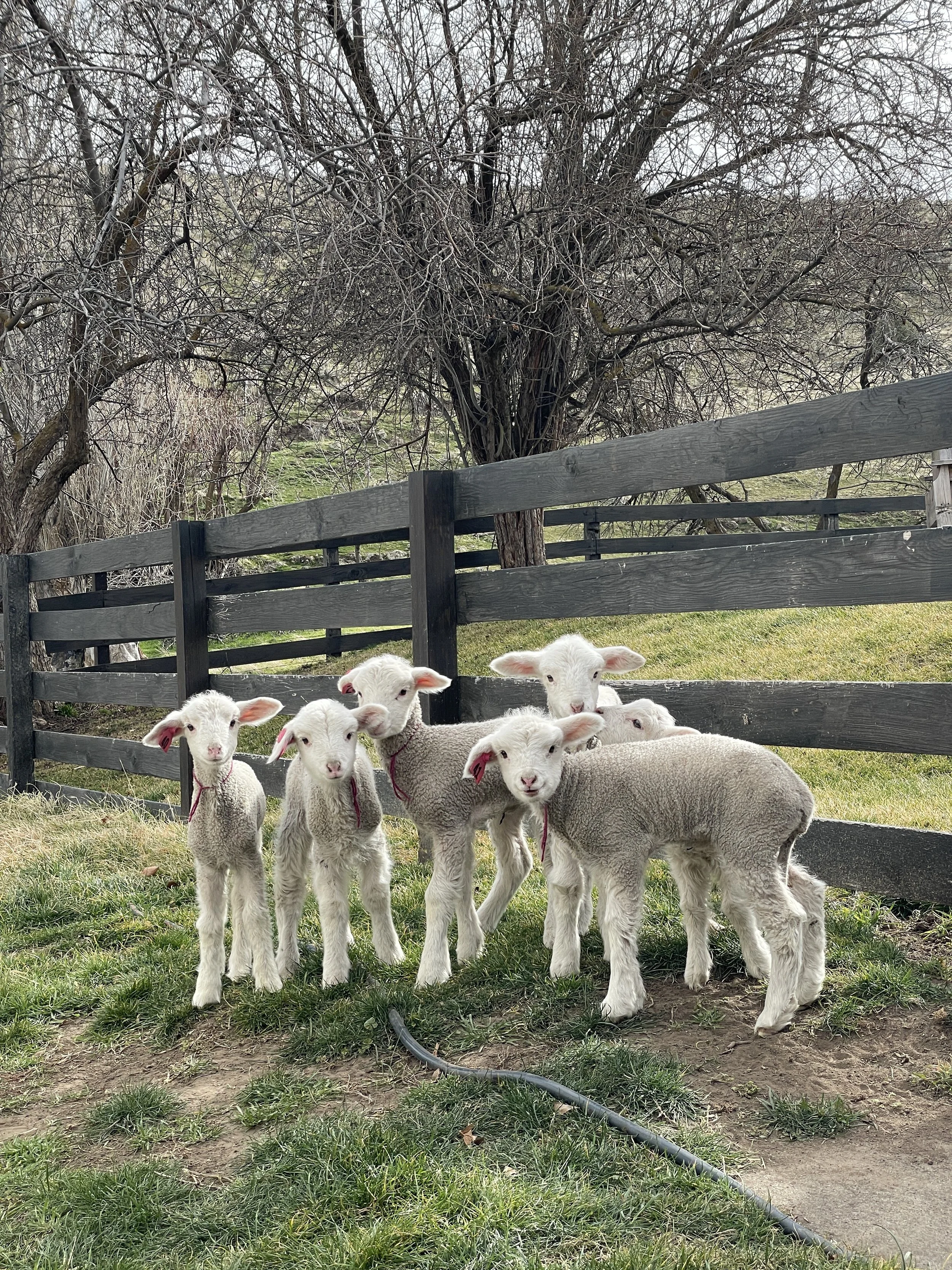  Photograph by Audrey Zerr 