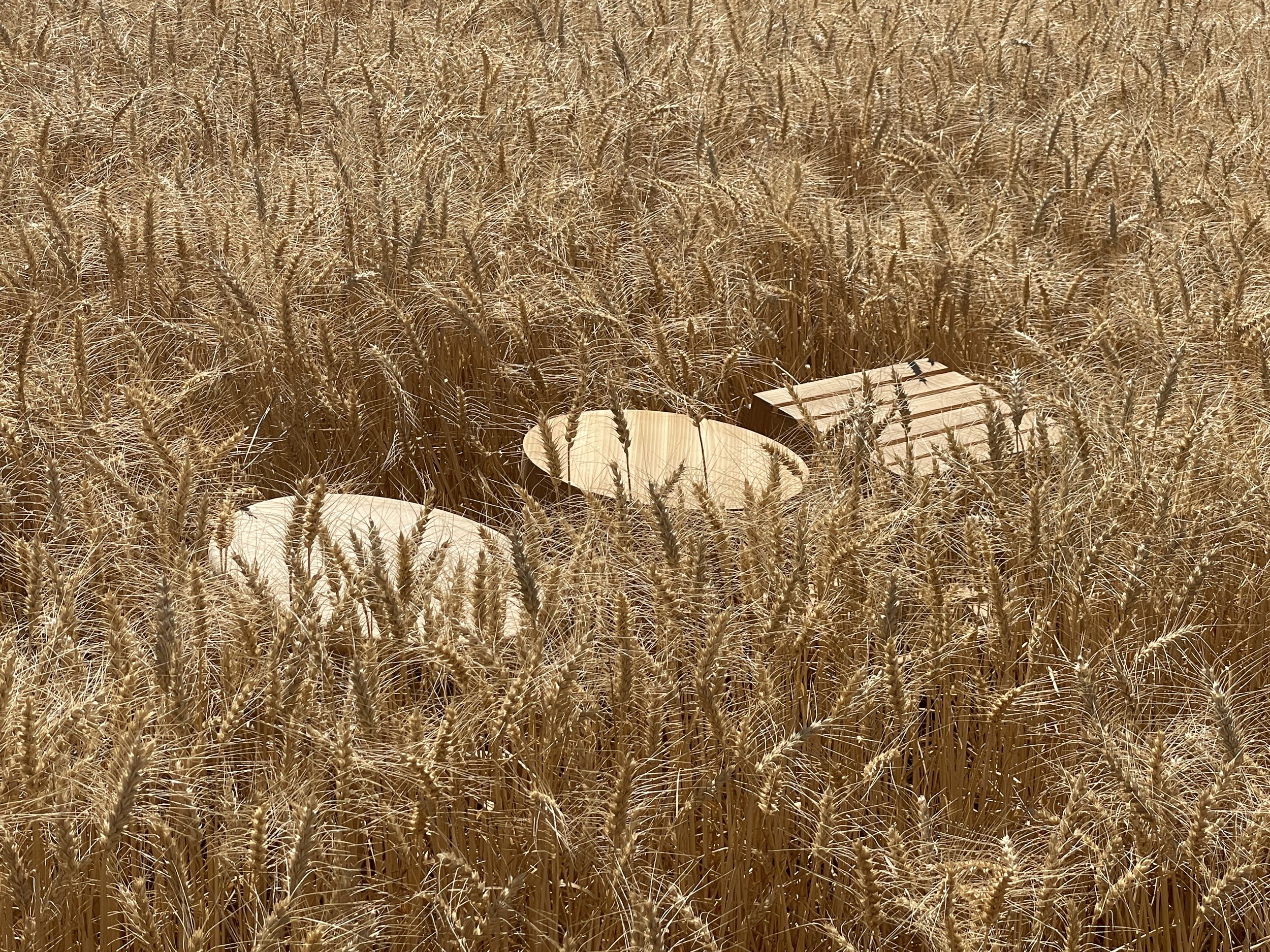 Stools designed and photographed by Audrey Zerr 